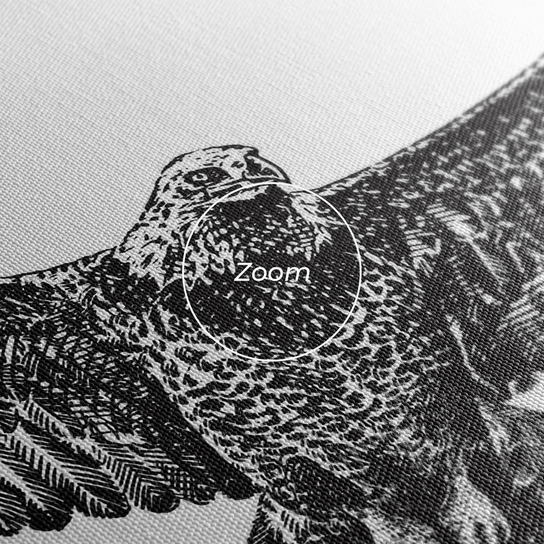 Vászonkép Eagle Art Line mockup 3