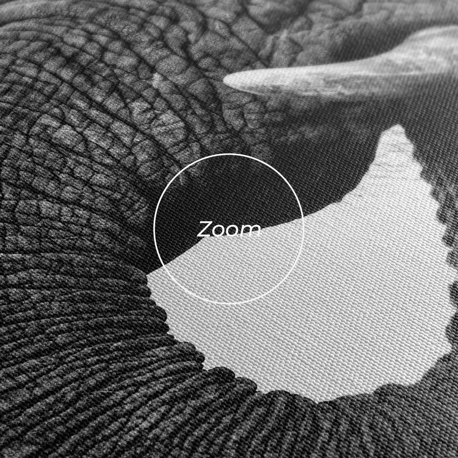 Vászonkép Elephant Drinking mockup 3