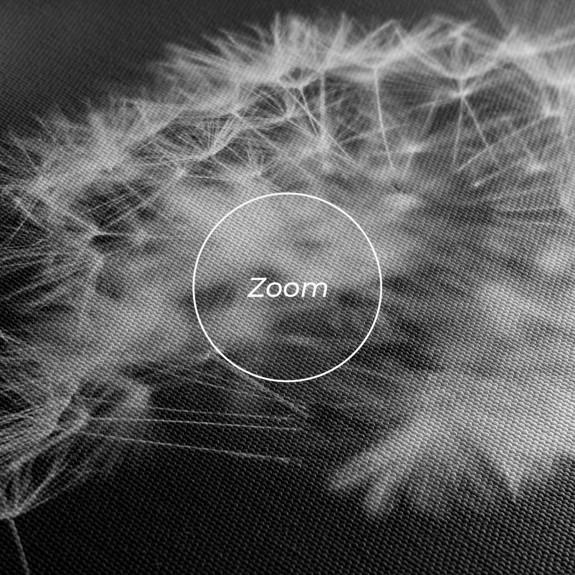 Vászonkép Grey Dandelion mockup 3