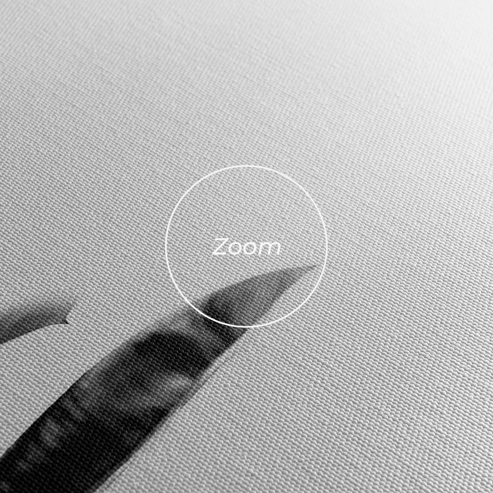 Vászonkép Grey Plant mockup 3