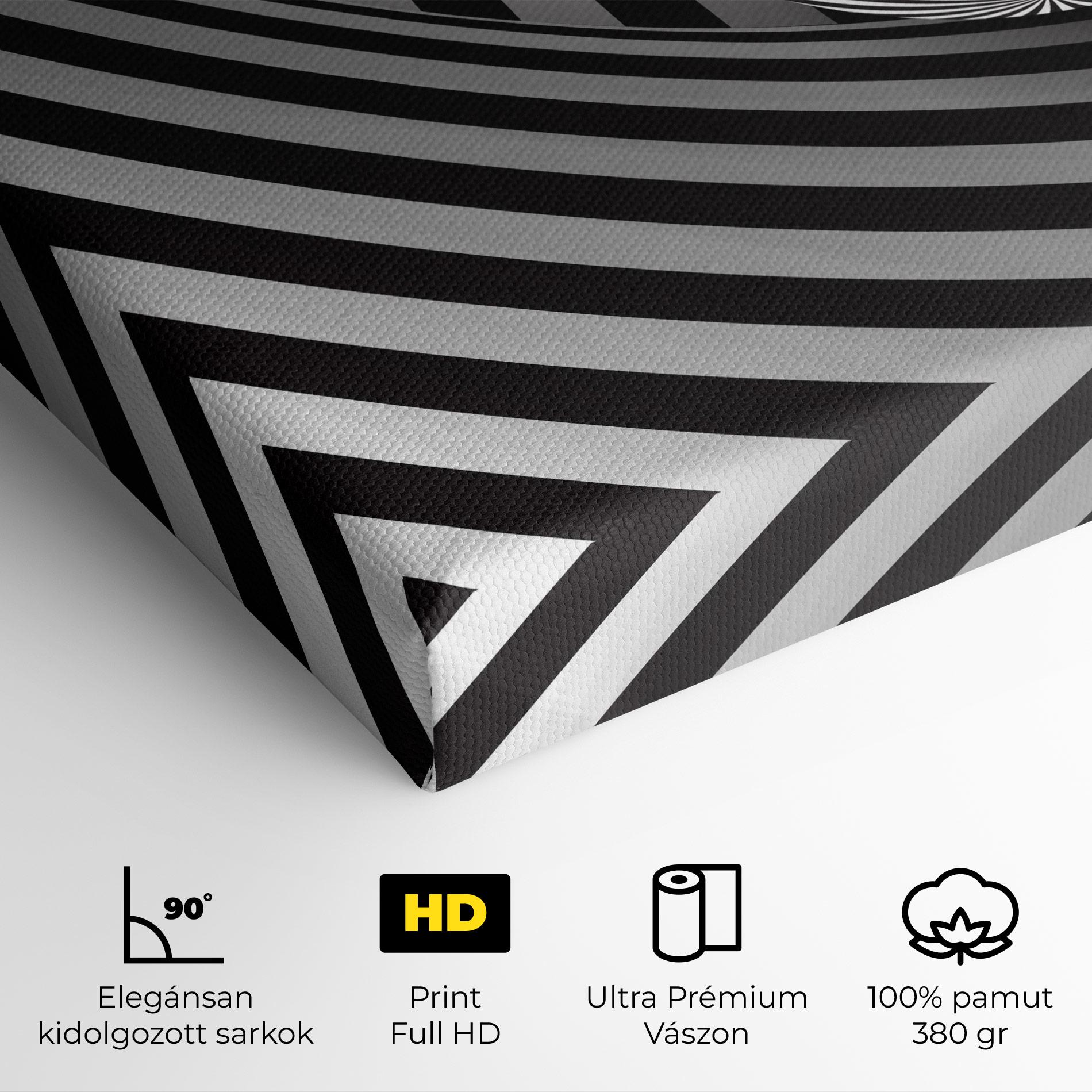 Vászonkép 3d Zebra Ball mockup 4