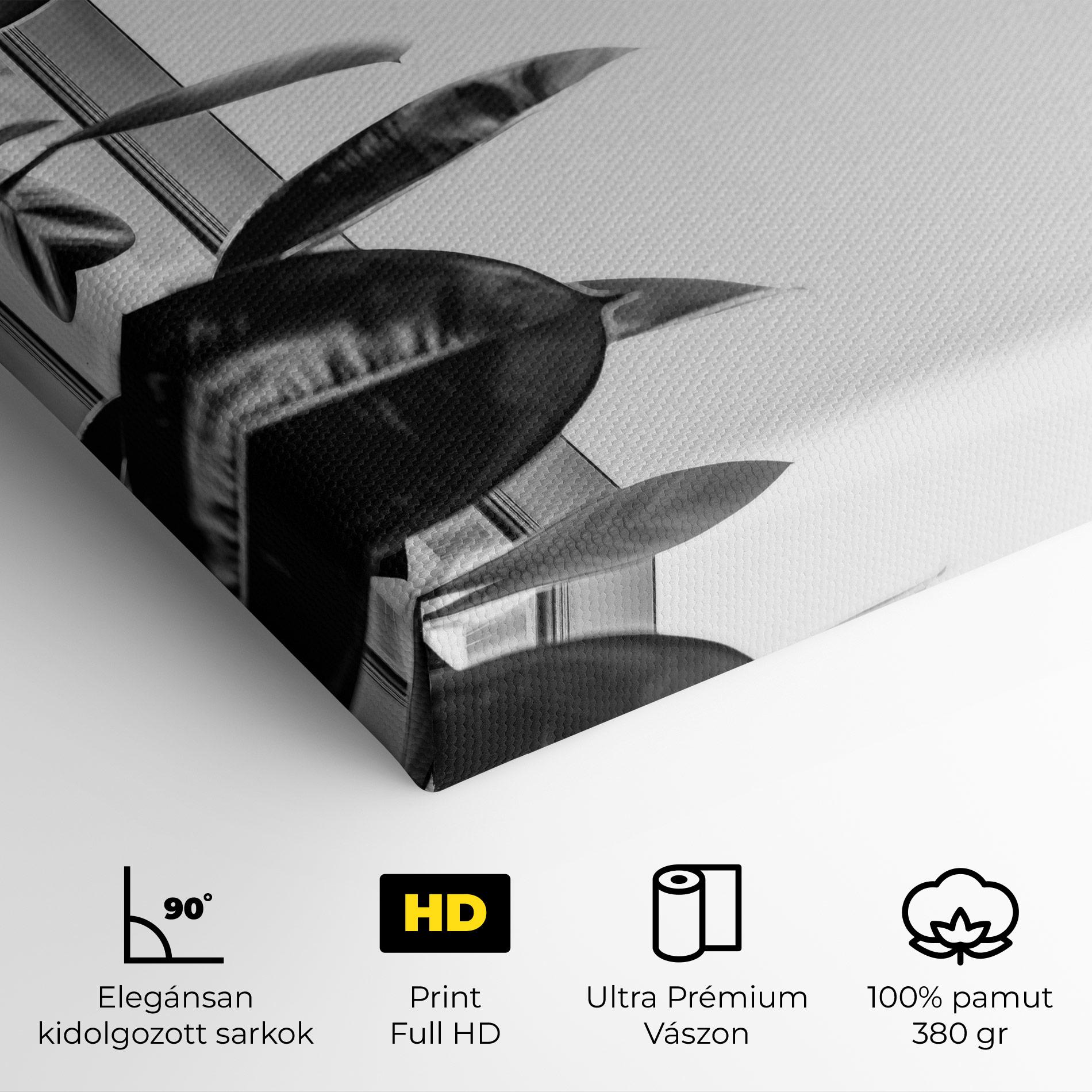 Vászonkép Grey Plant mockup 4