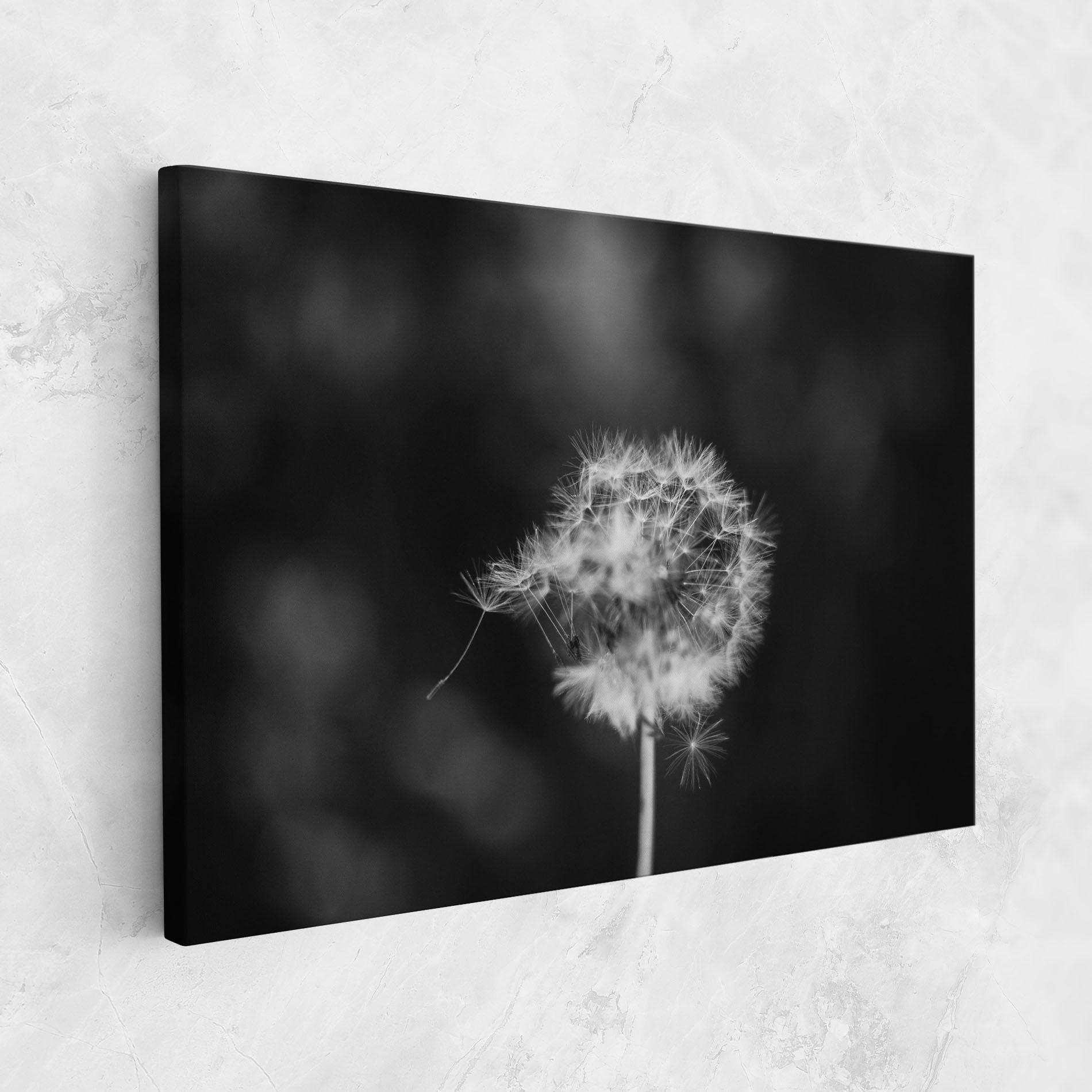 Vászonkép Grey Dandelion mockup 1