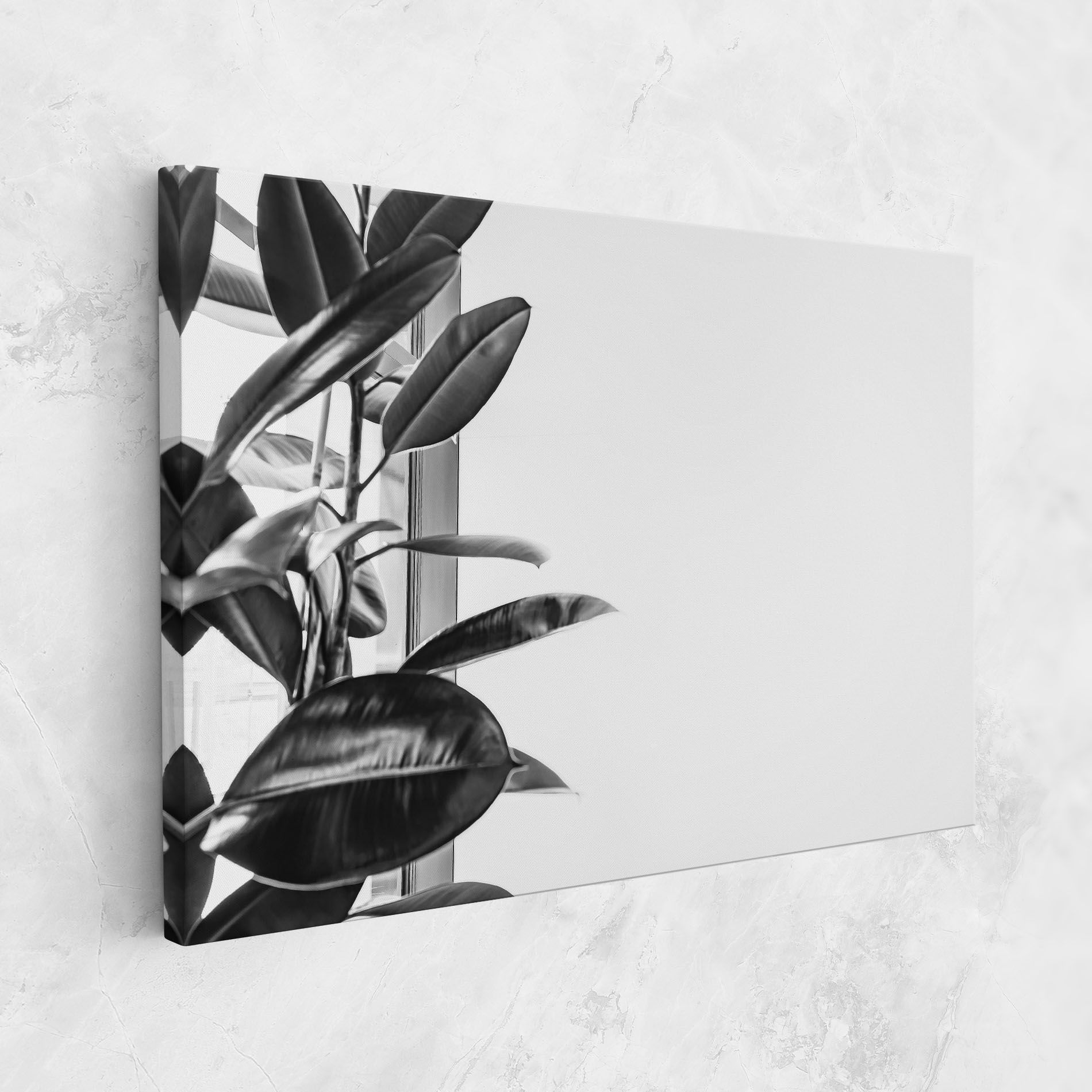 Grey Plant mockup 1