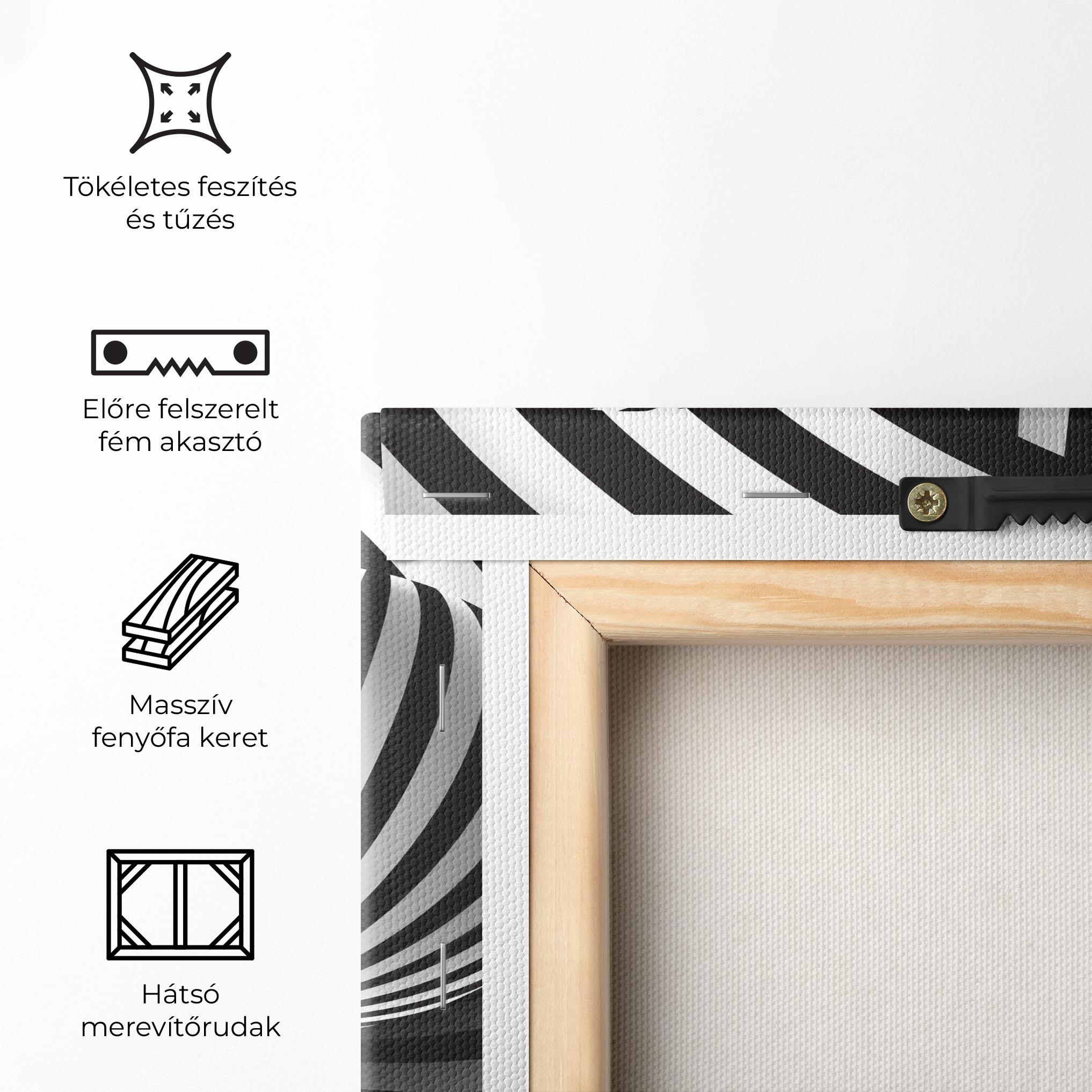 Vászonkép 3d Zebra Ball mockup 5