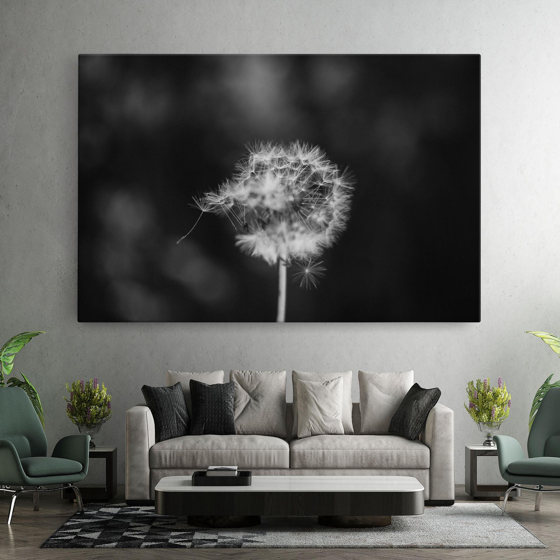 Vászonkép Grey Dandelion mockup 7