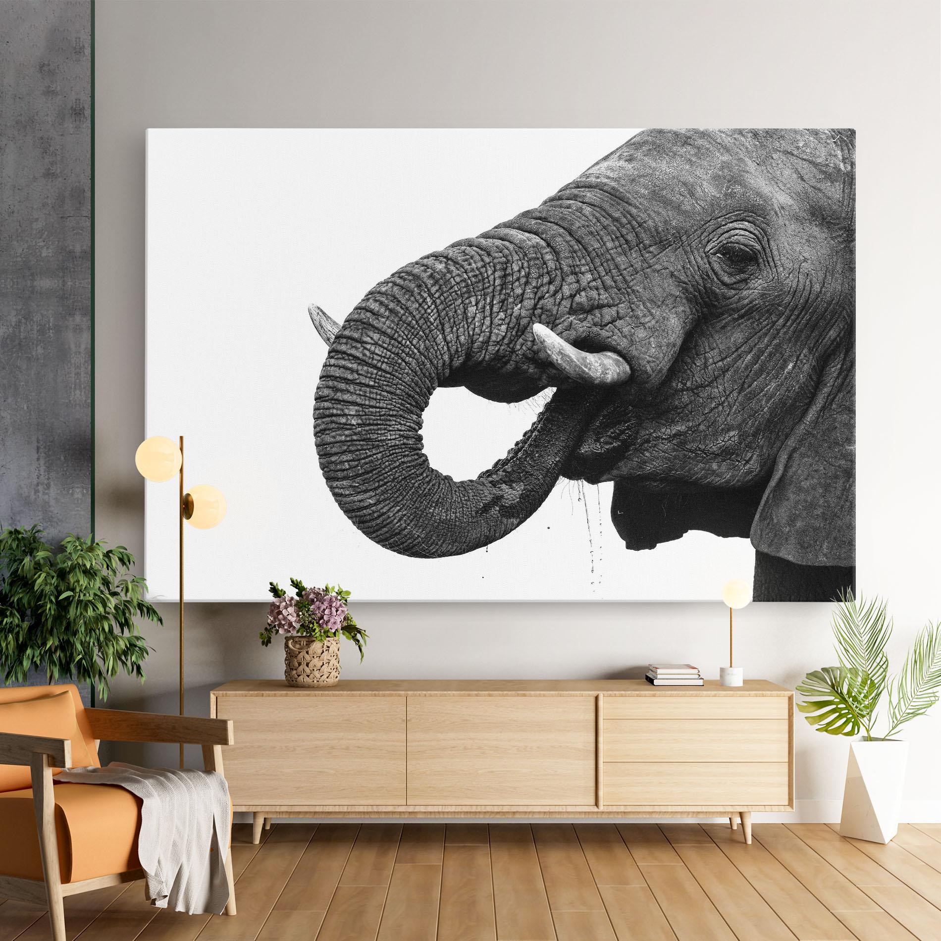 Vászonkép Elephant Drinking mockup 9