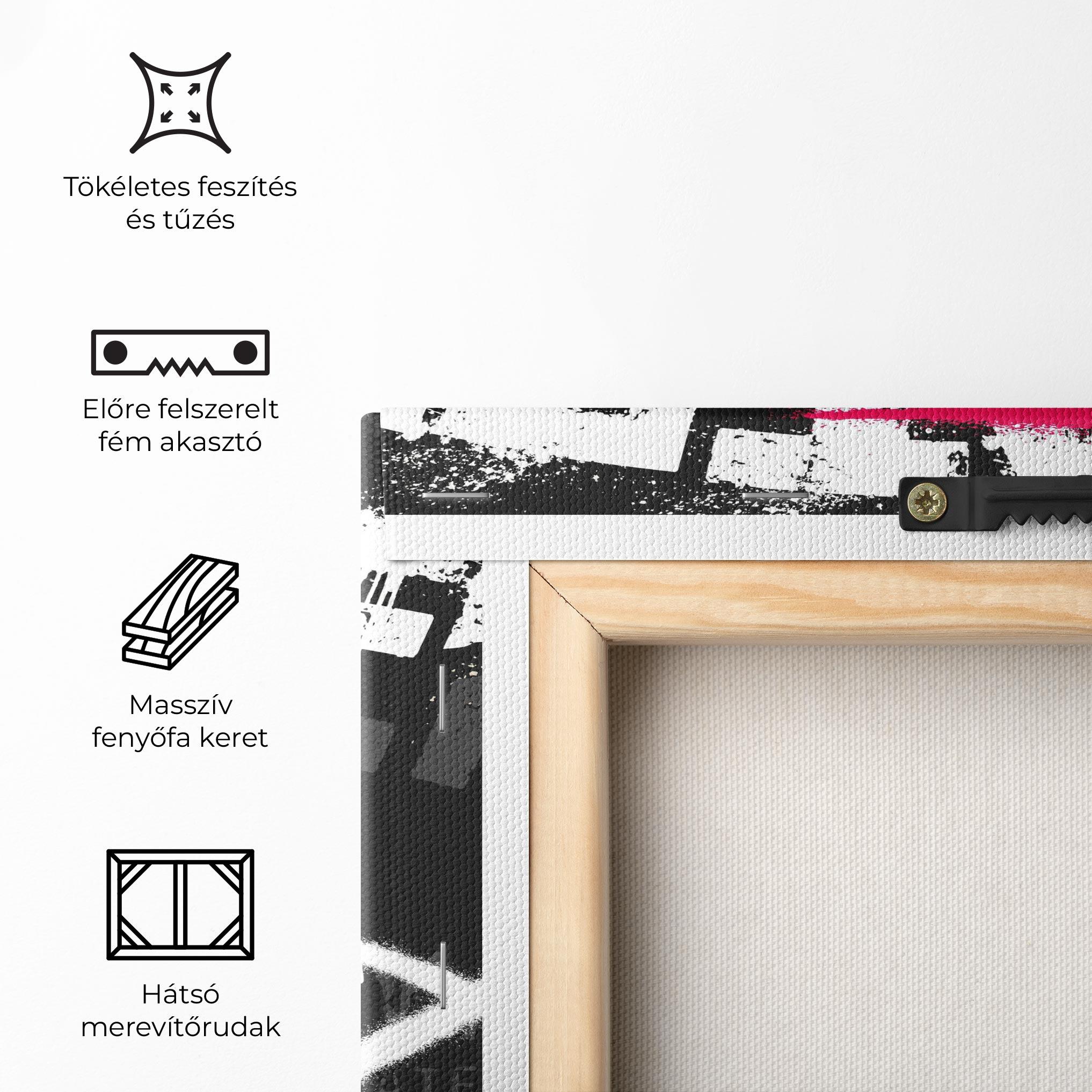 Vászonkép Skater Spray mockup 5