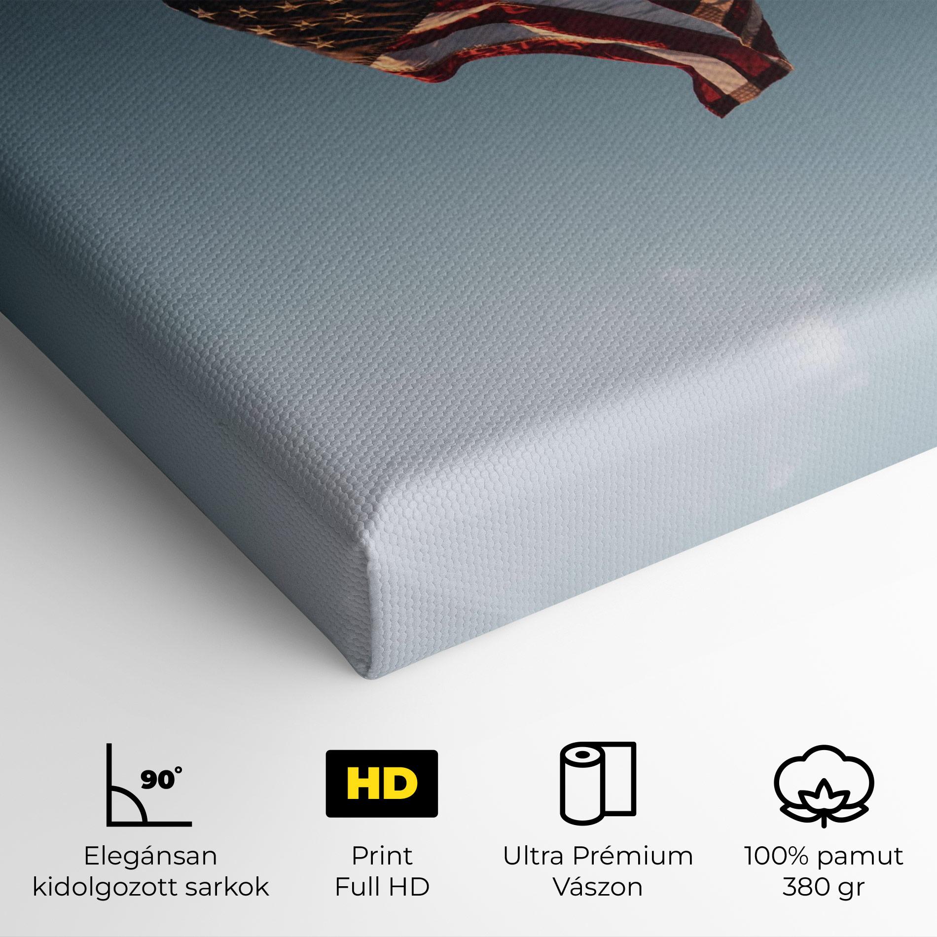 Vászonkép Usa Flag mockup 4