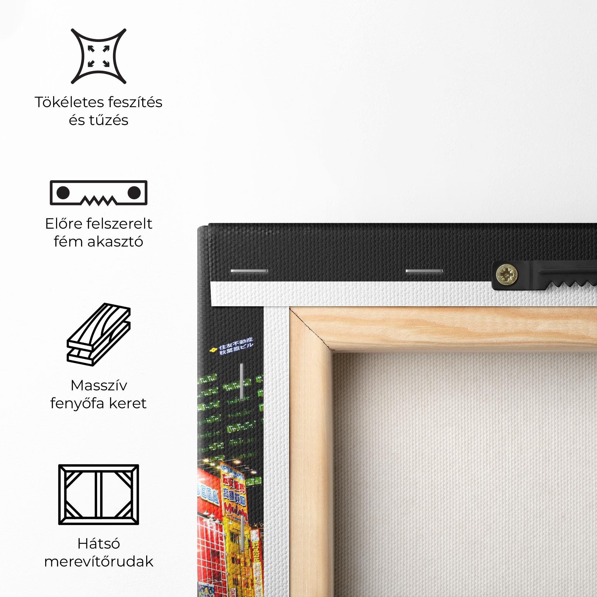 Vászonkép Akihabara Night mockup 5