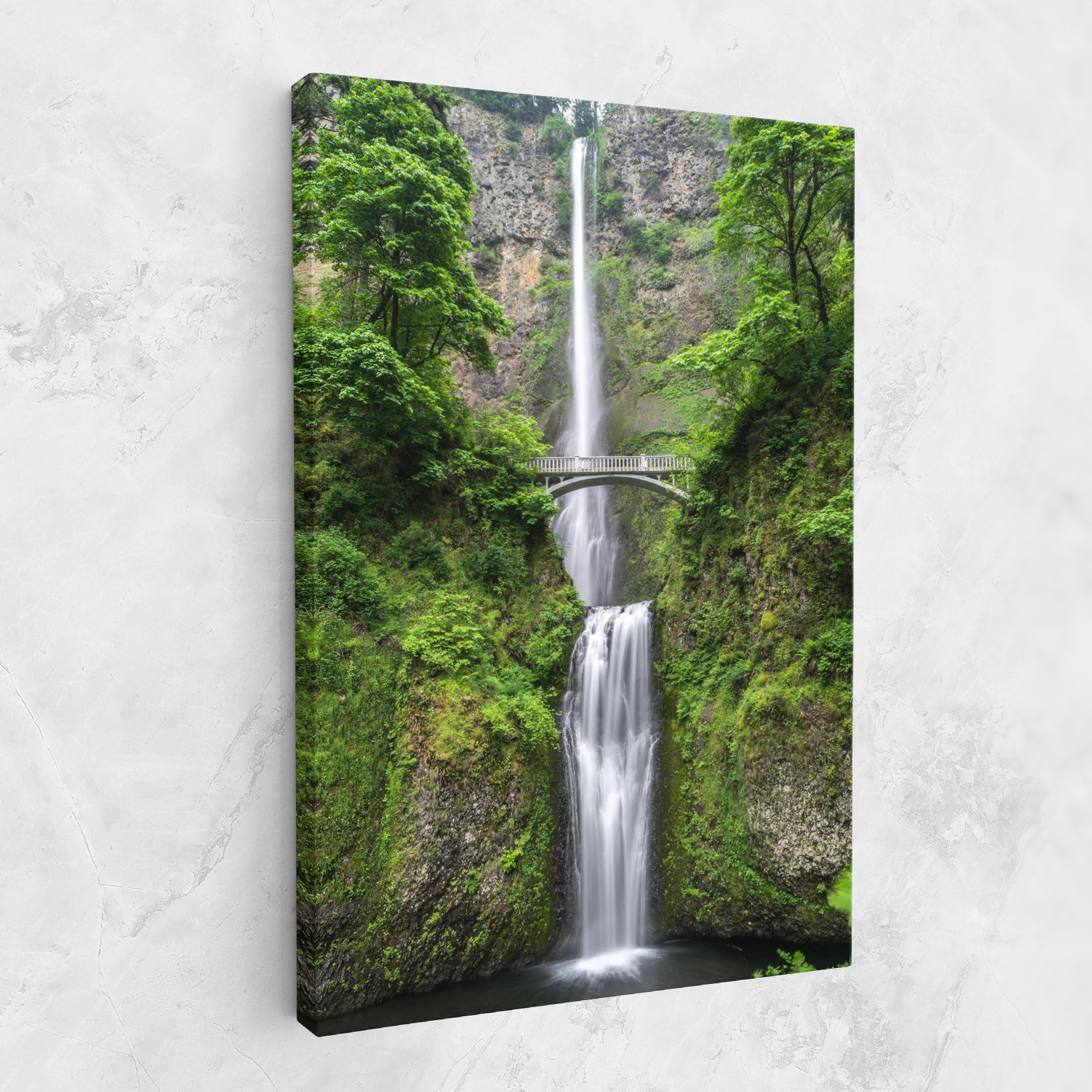 Green Leaves Bridge View mockup 1