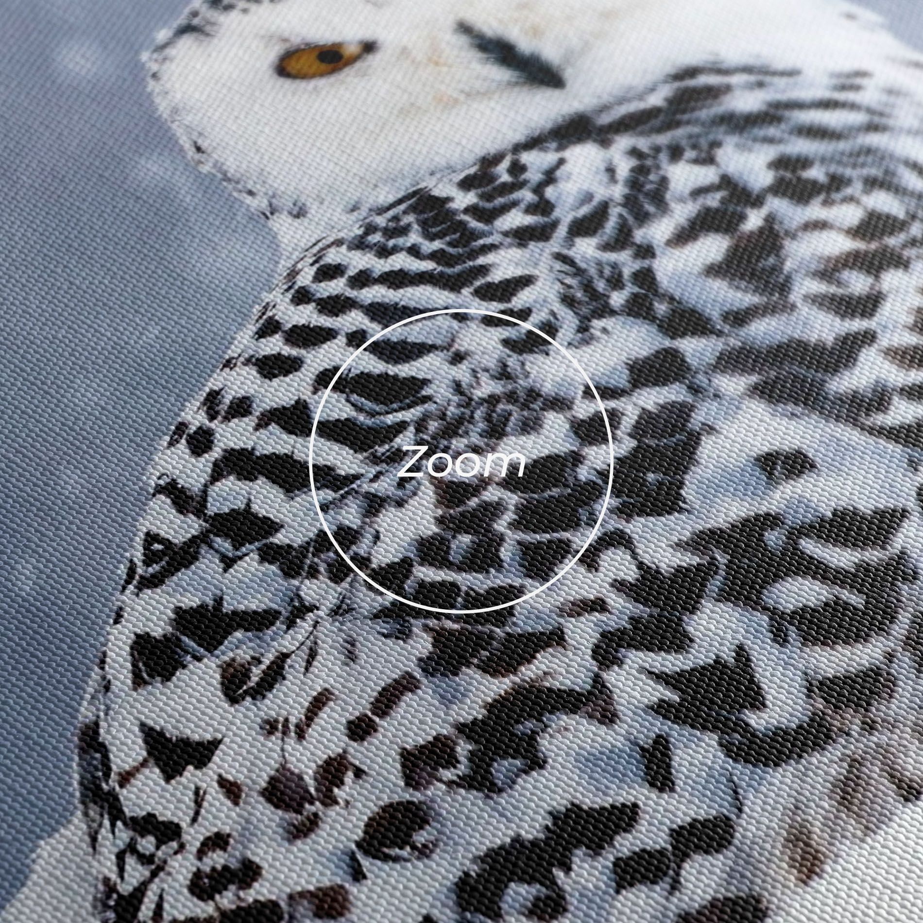 Snow Owl mockup 3