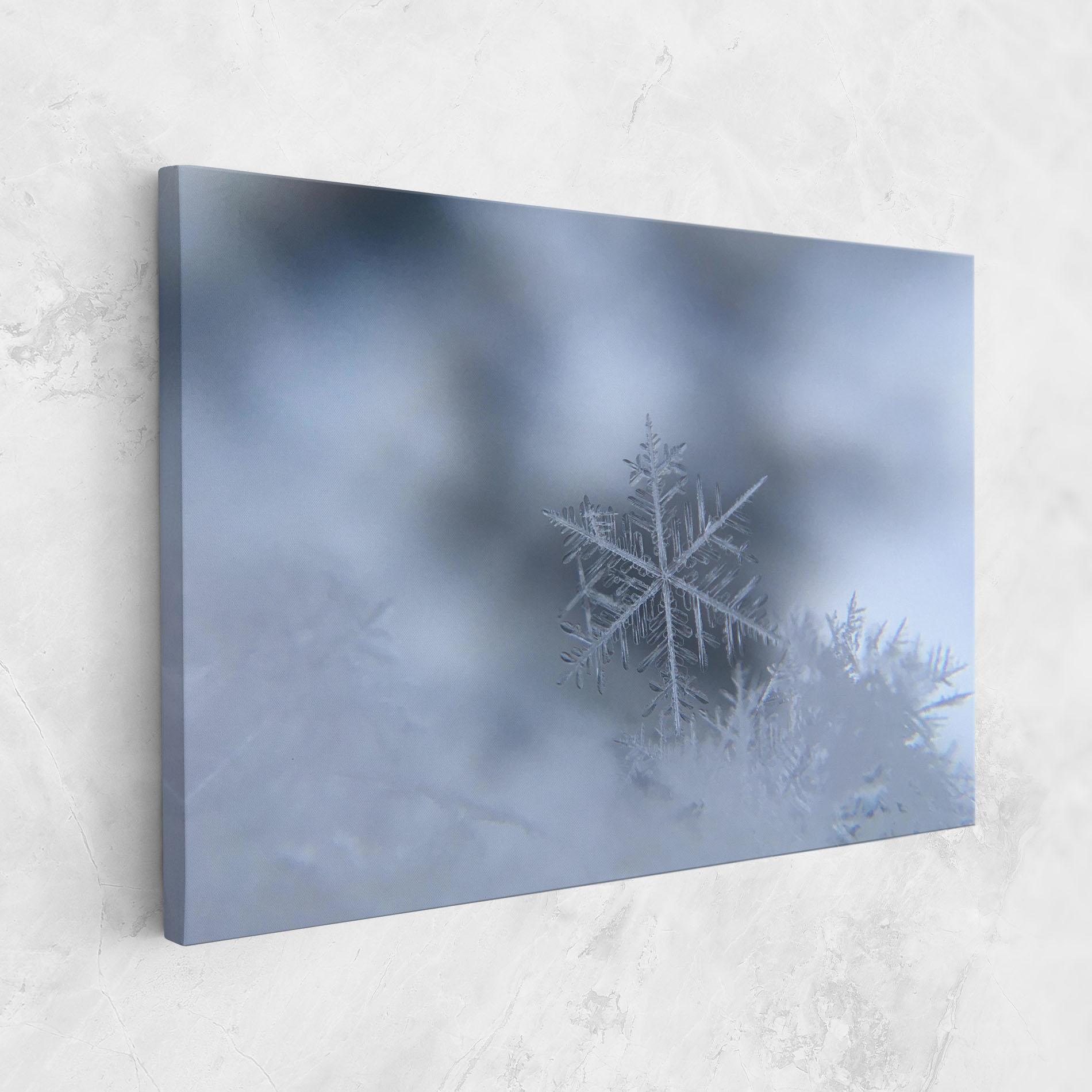 Vászonkép Pretty Snowflake mockup 1