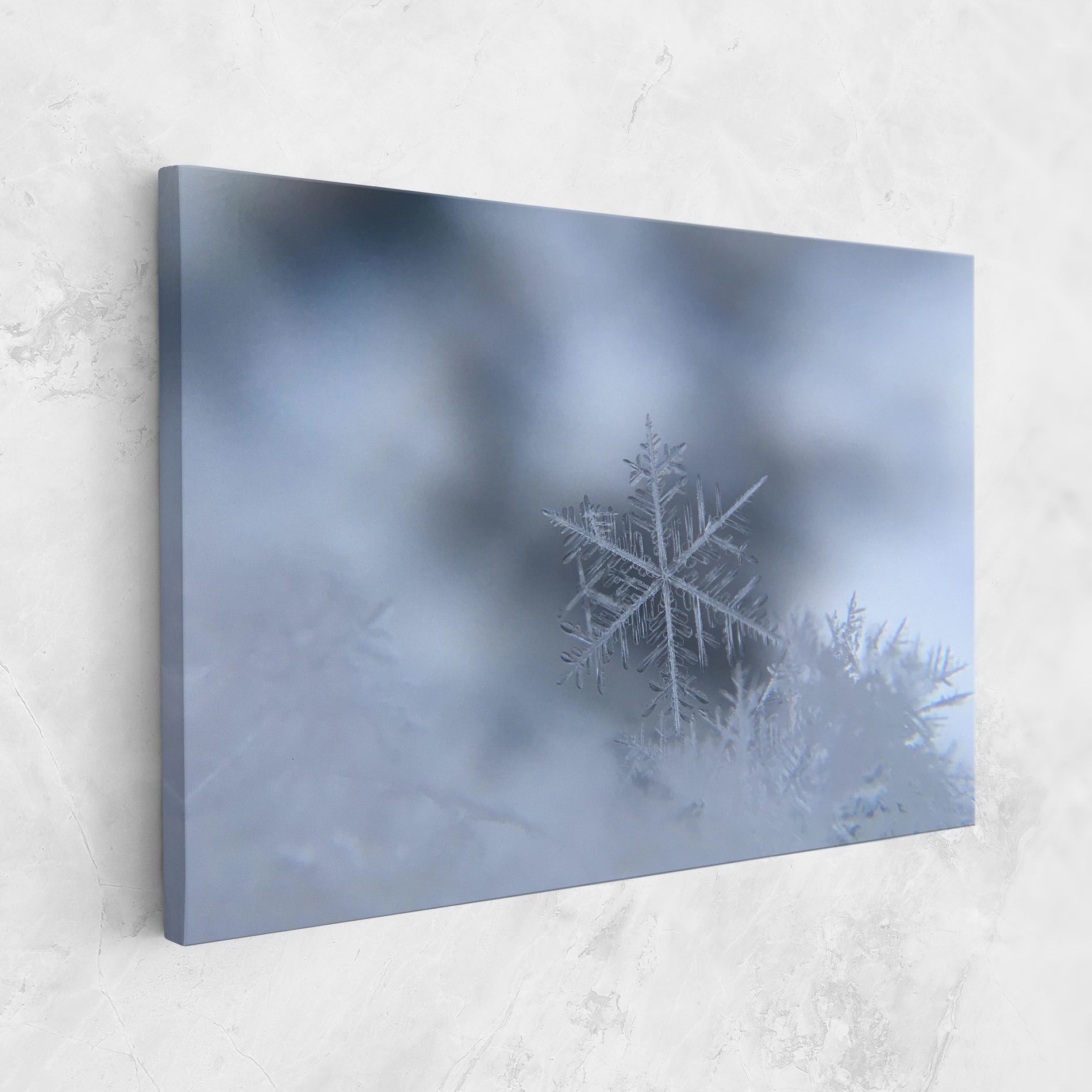 Pretty Snowflake mockup 1