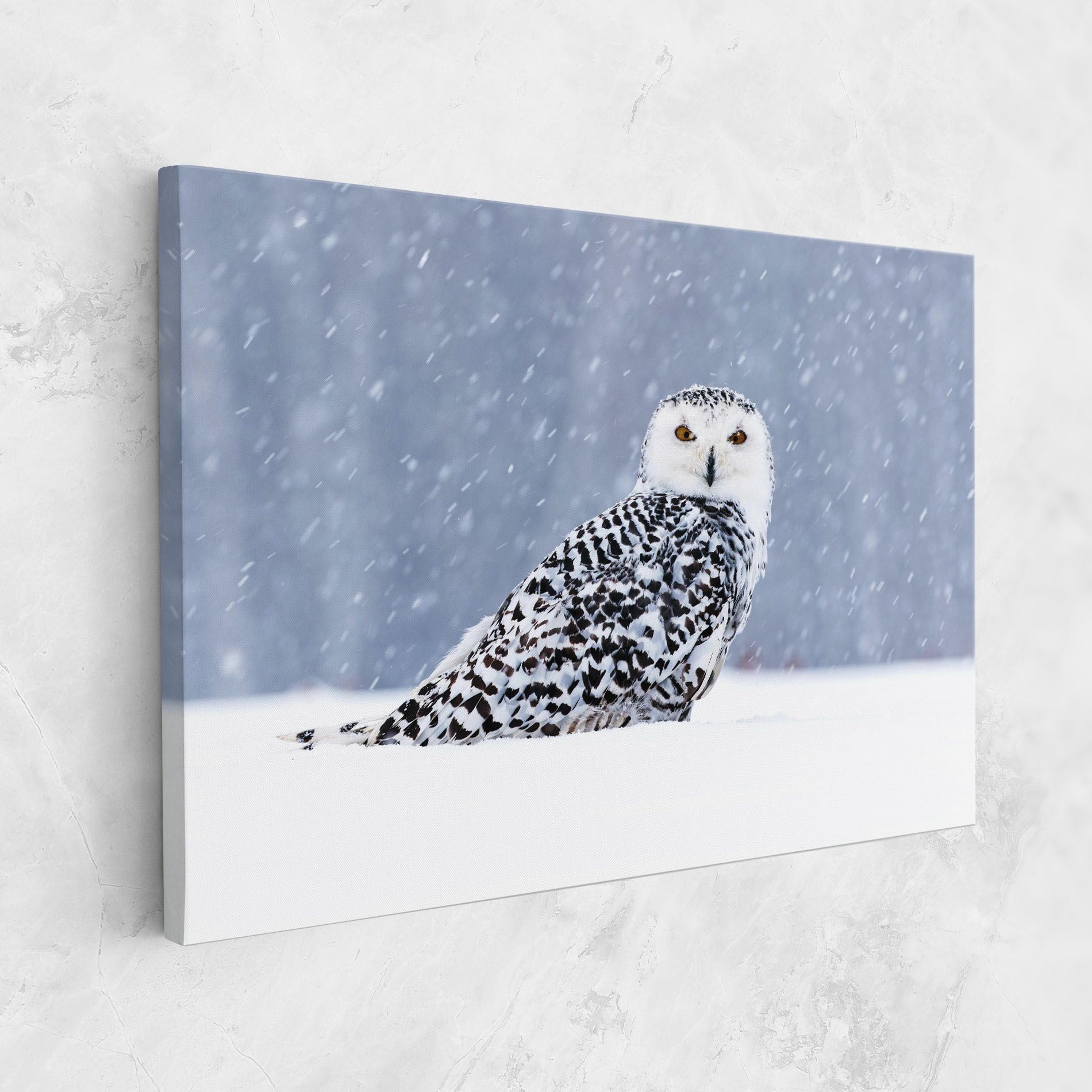 Snow Owl mockup 1