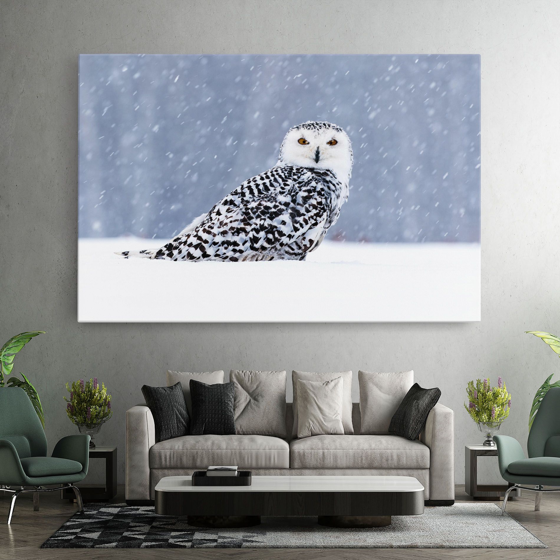 Snow Owl mockup 7