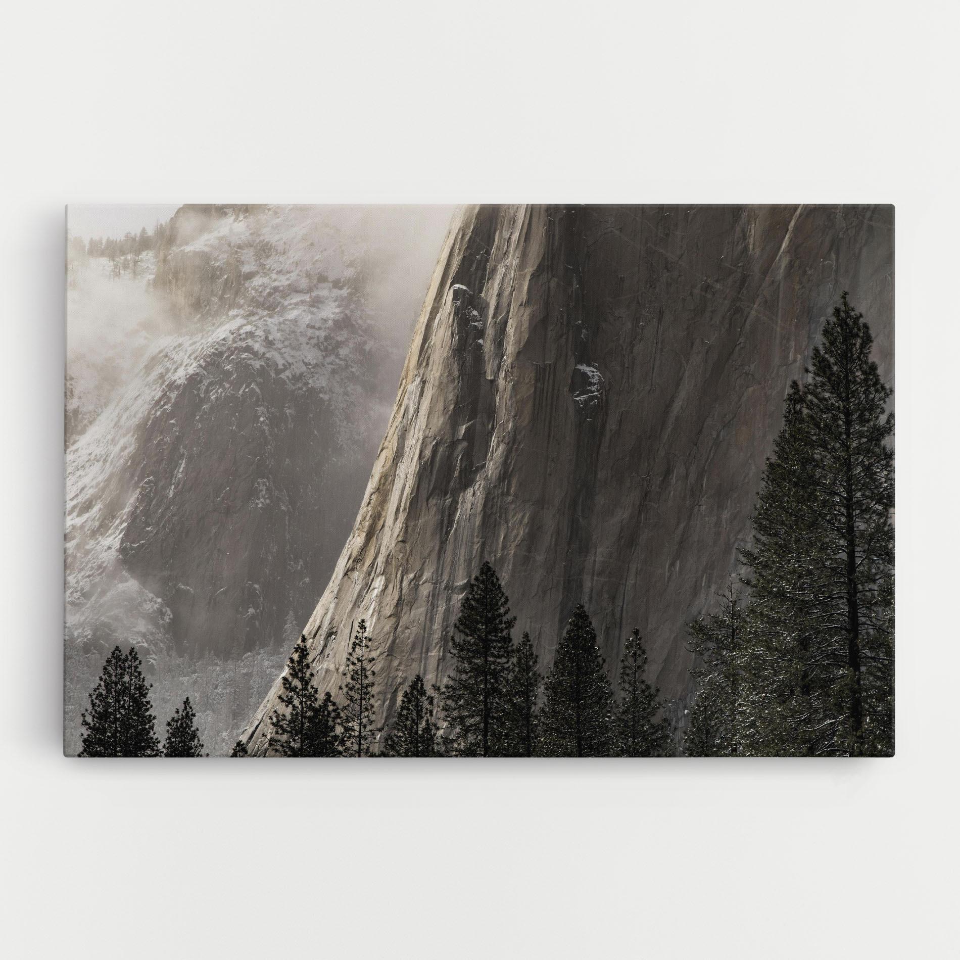 Vászonkép Green Tree Mountain mockup 0