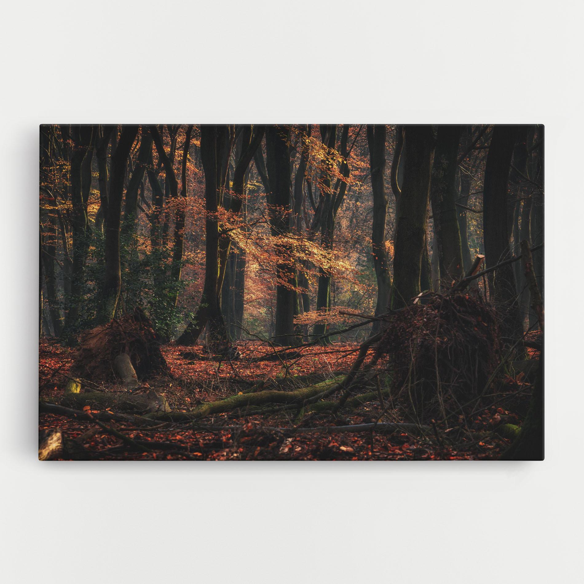 Vászonkép Autumn Forest Trees mockup 0