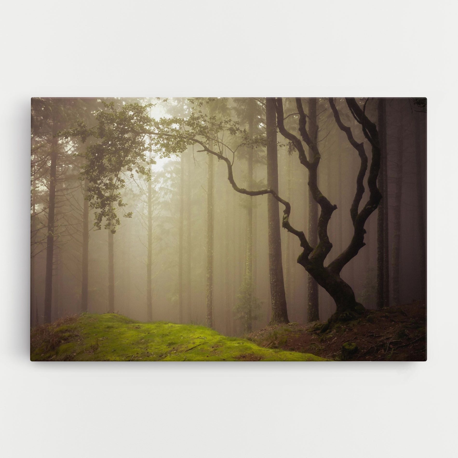 Foggy Tree Art mockup 0