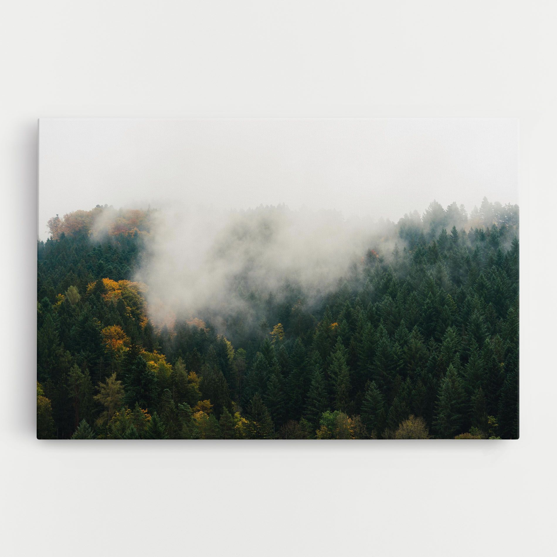Foggy Tree Forest mockup 0