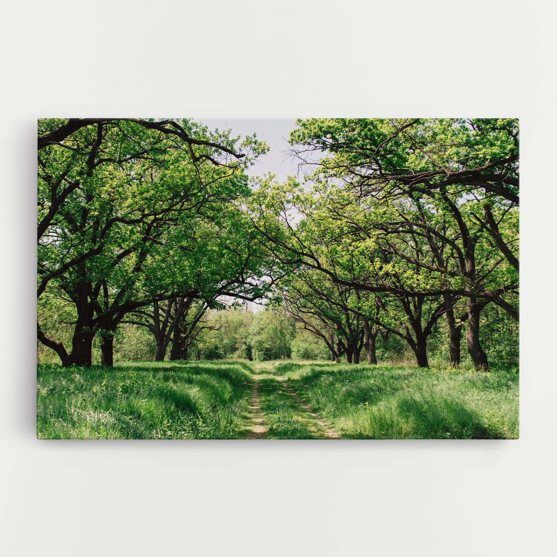 Vászonkép Forest Green Path mockup 0