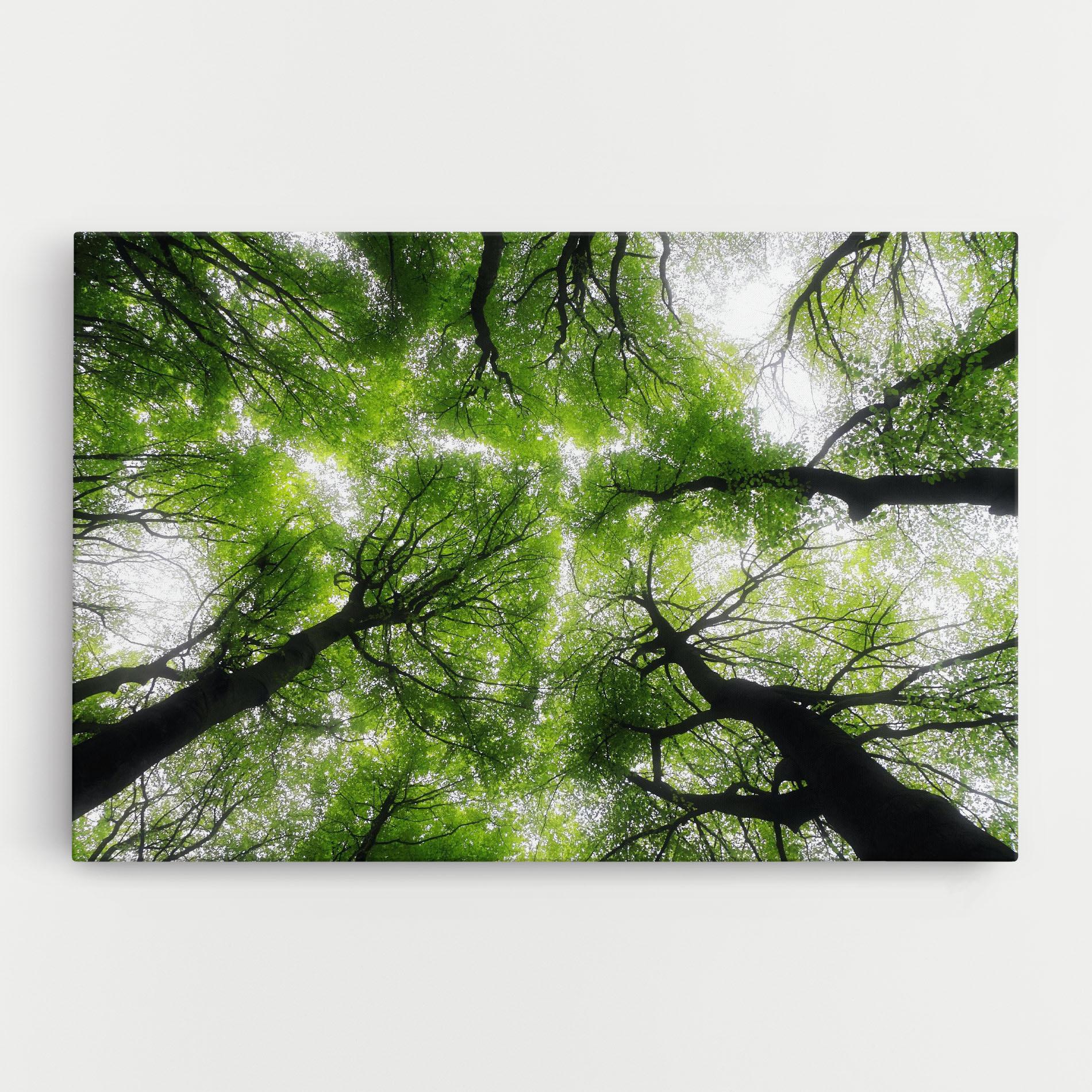 Vászonkép Forest Green Tree mockup 0