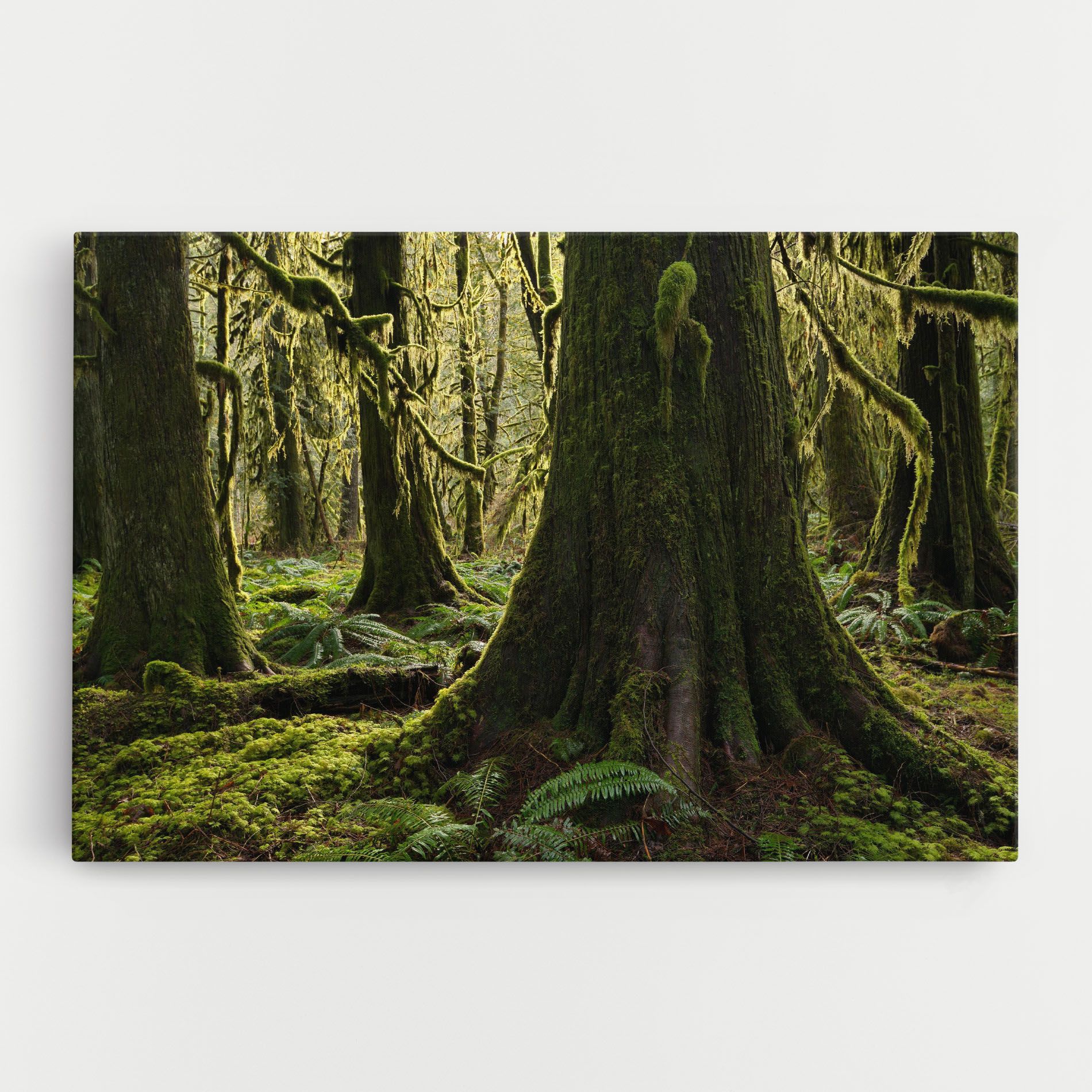 Green Moss Forest mockup 0