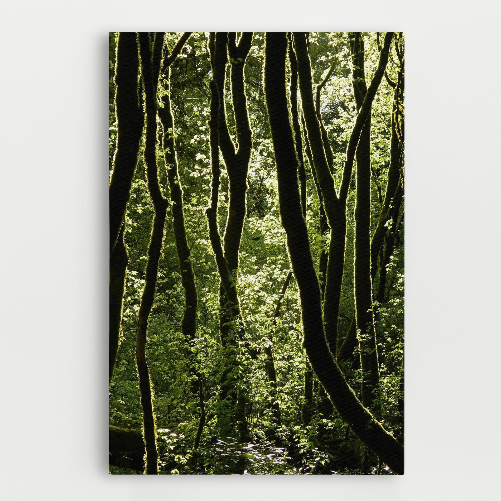 Vászonkép Forest Black Trees mockup 0