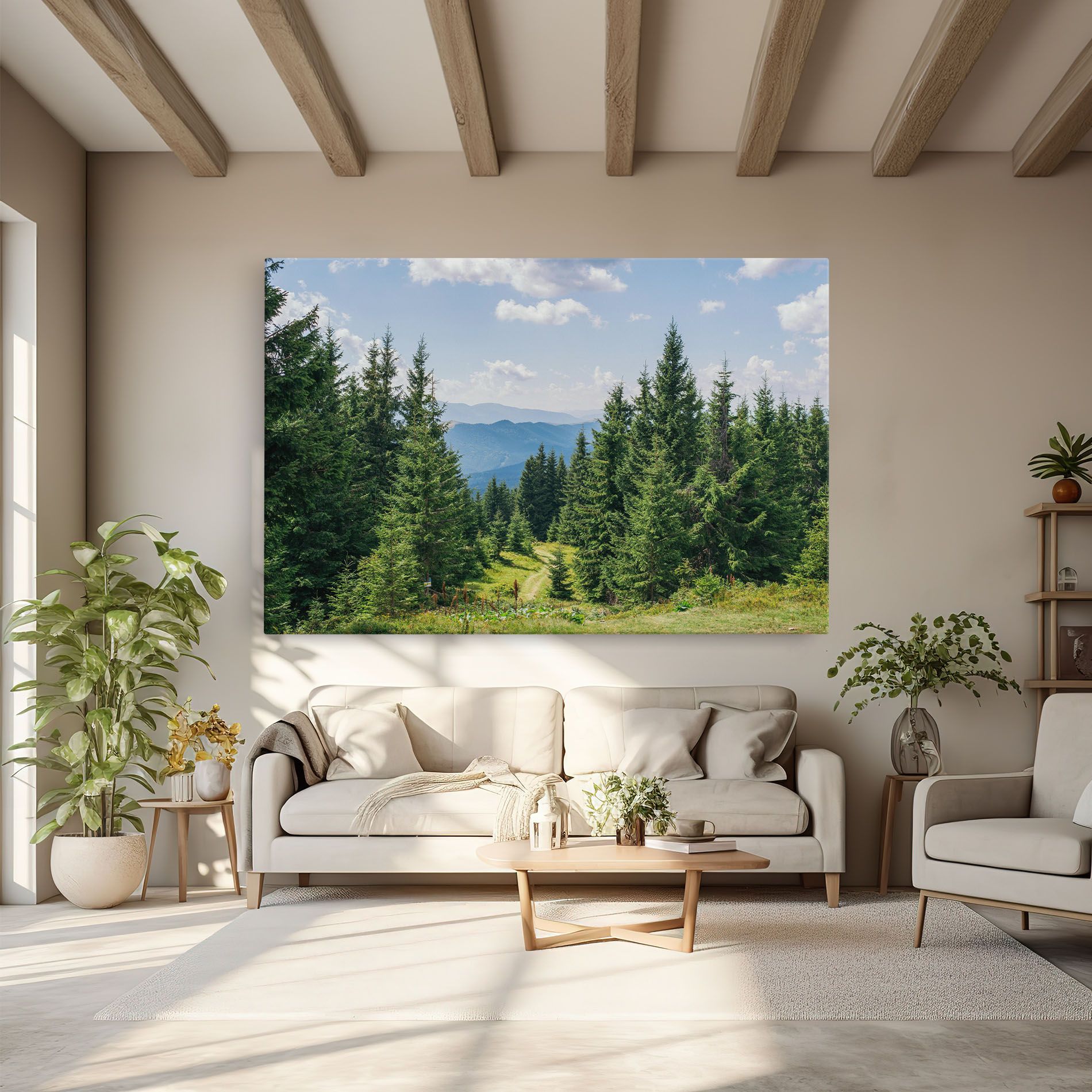 Carpathian Mountain mockup 6