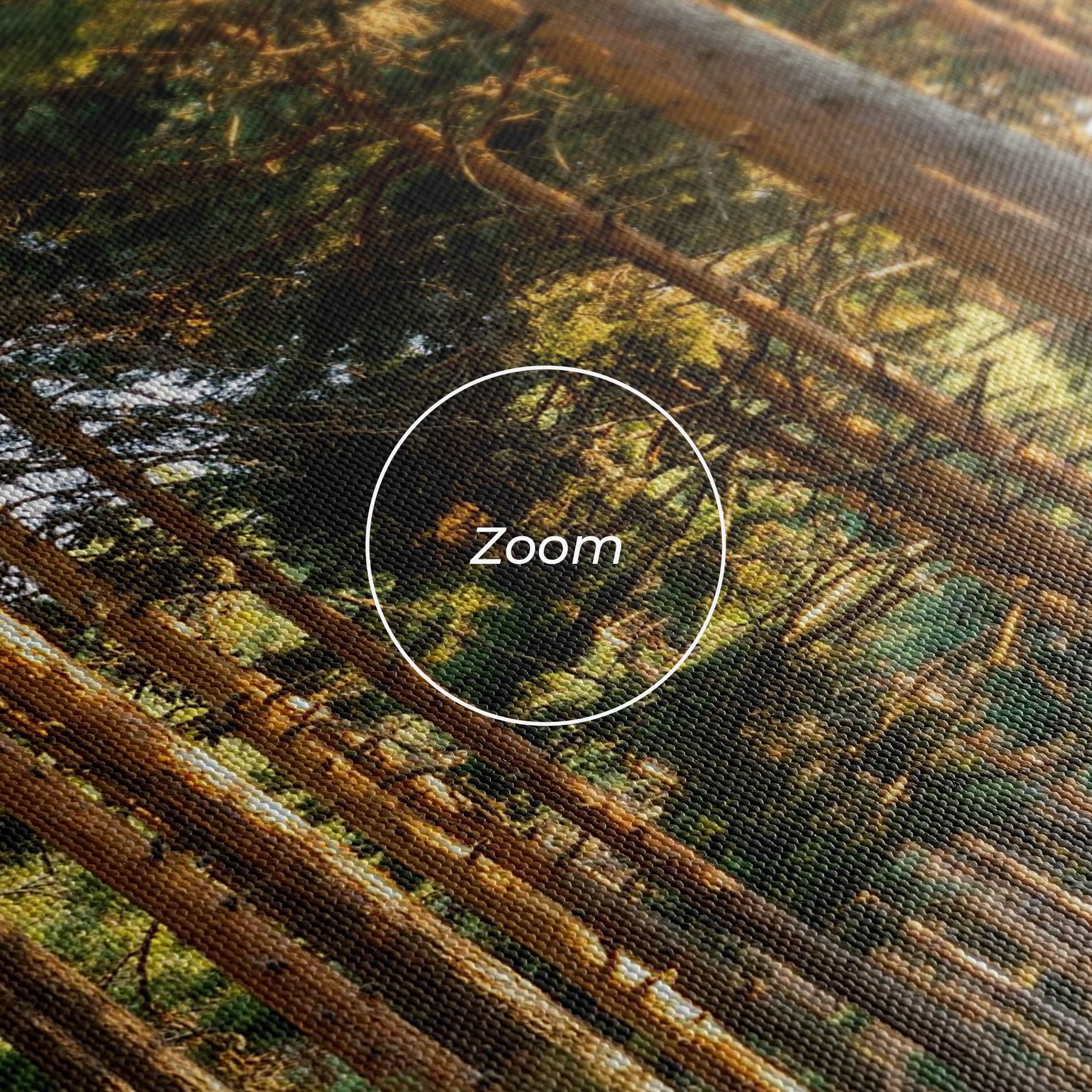 Big Trees Forest mockup 3