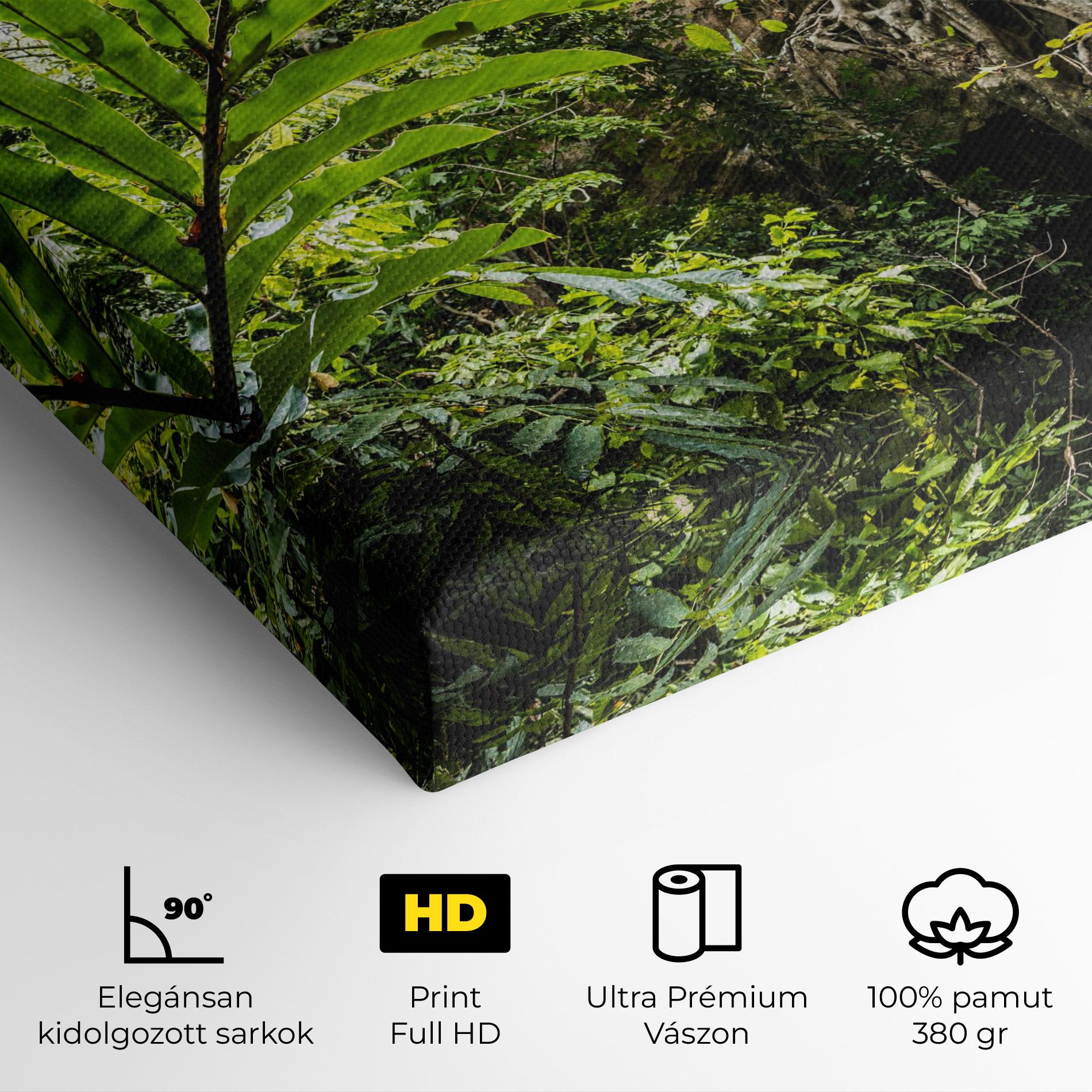Vászonkép Big Leaf Forest mockup 4