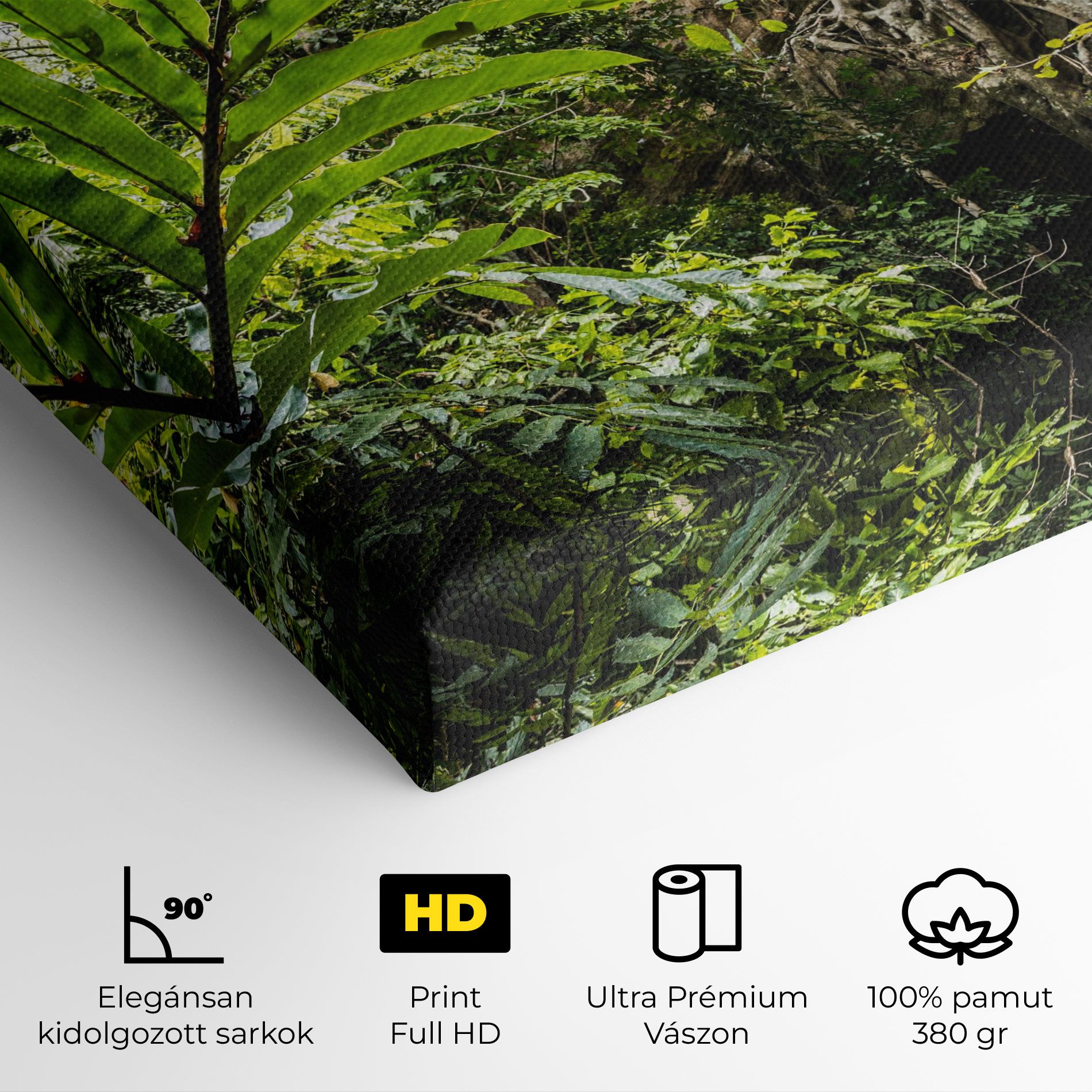 Big Leaf Forest mockup 4