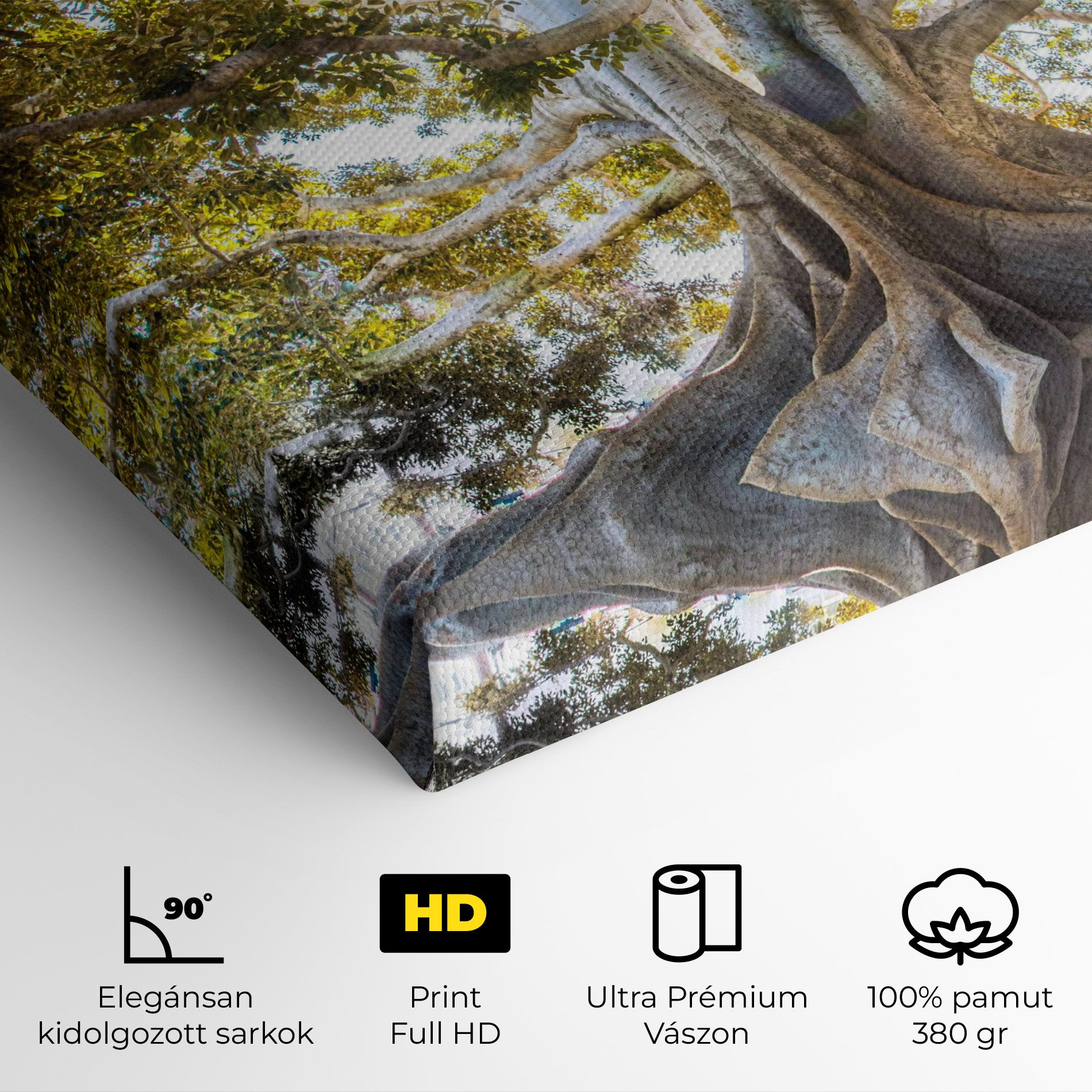 Big Old Tree mockup 4