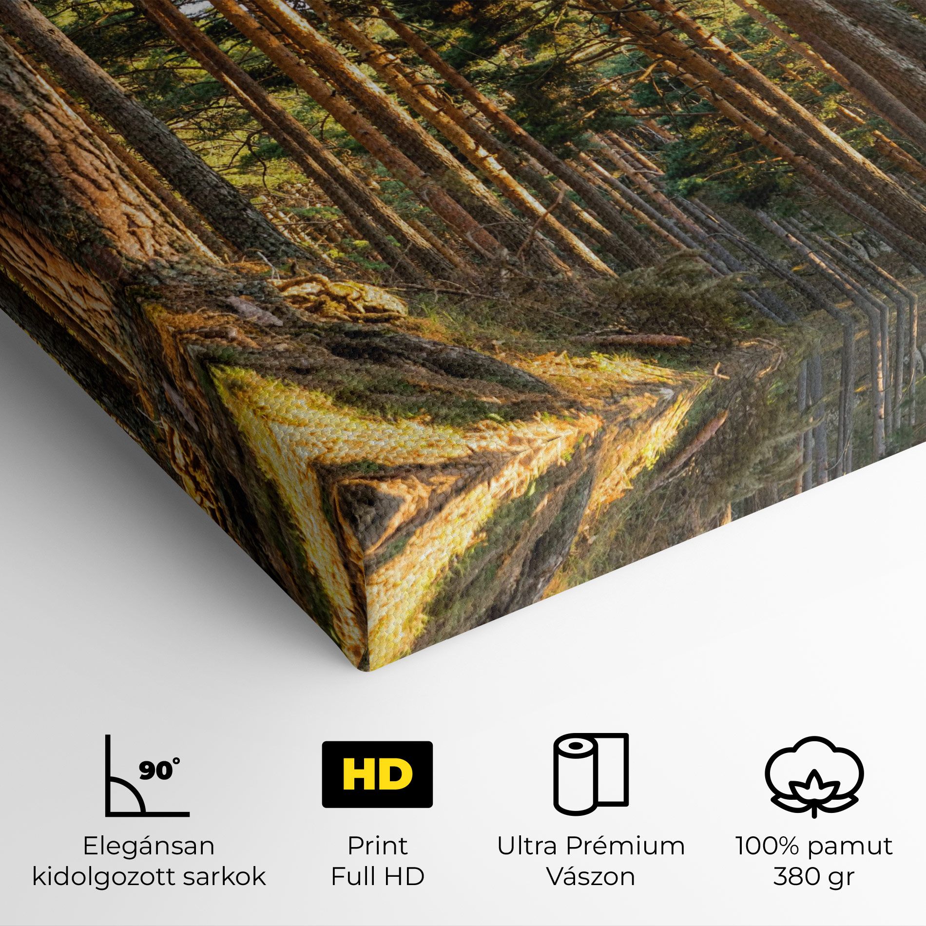 Big Trees Forest mockup 4