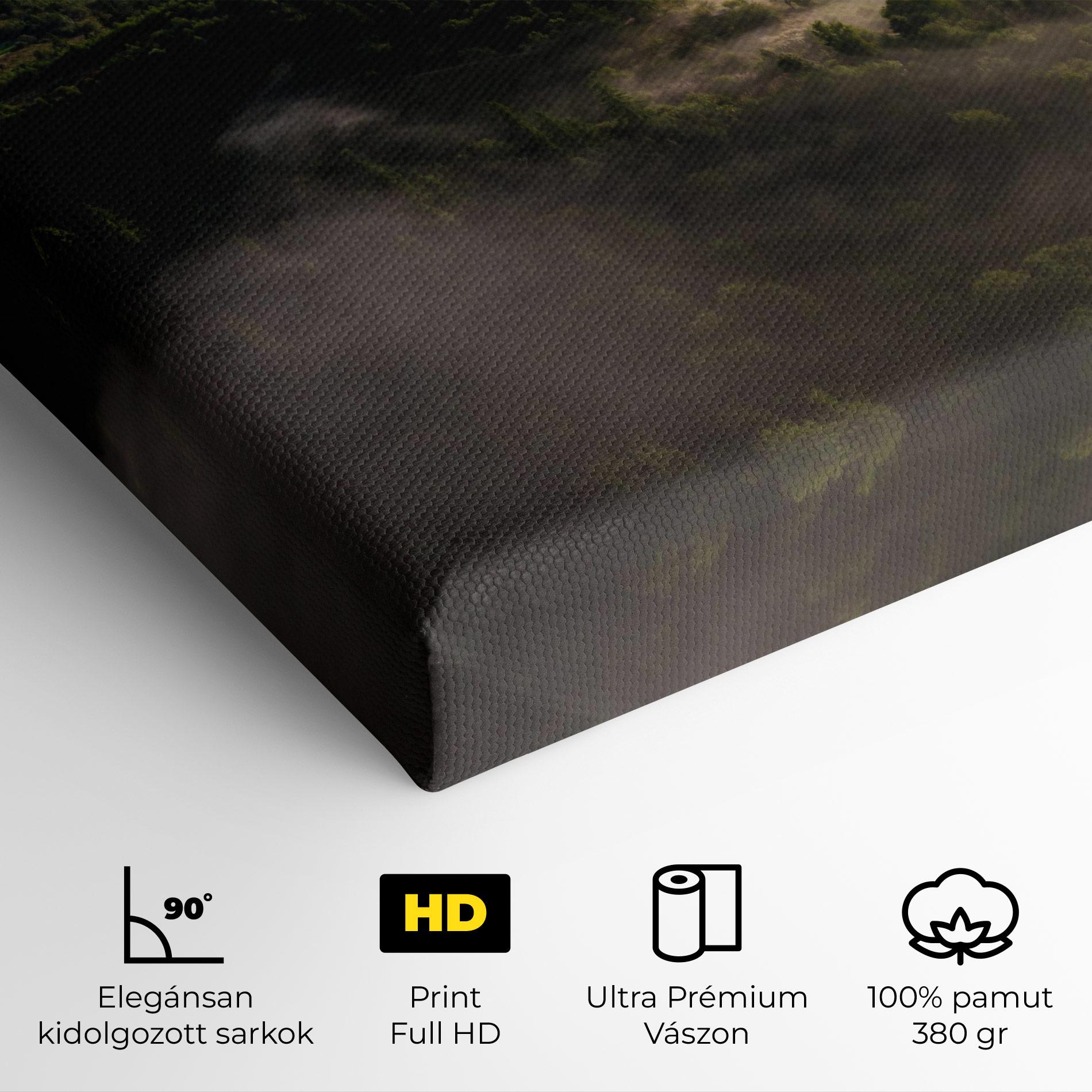 Vászonkép Foggy Forest View mockup 4