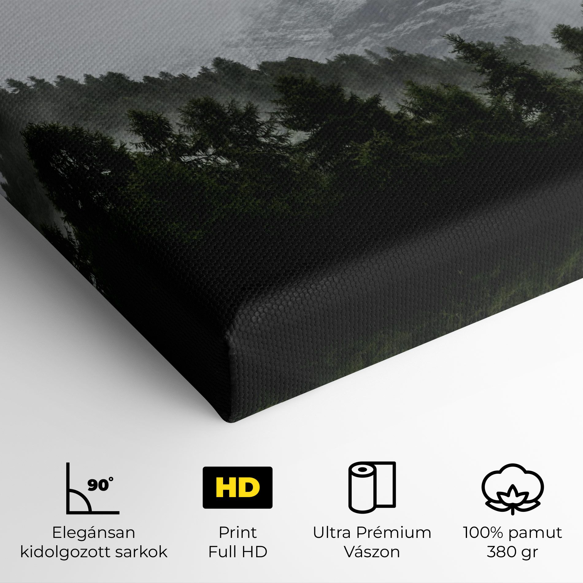 Foggy Mountain Forest mockup 4