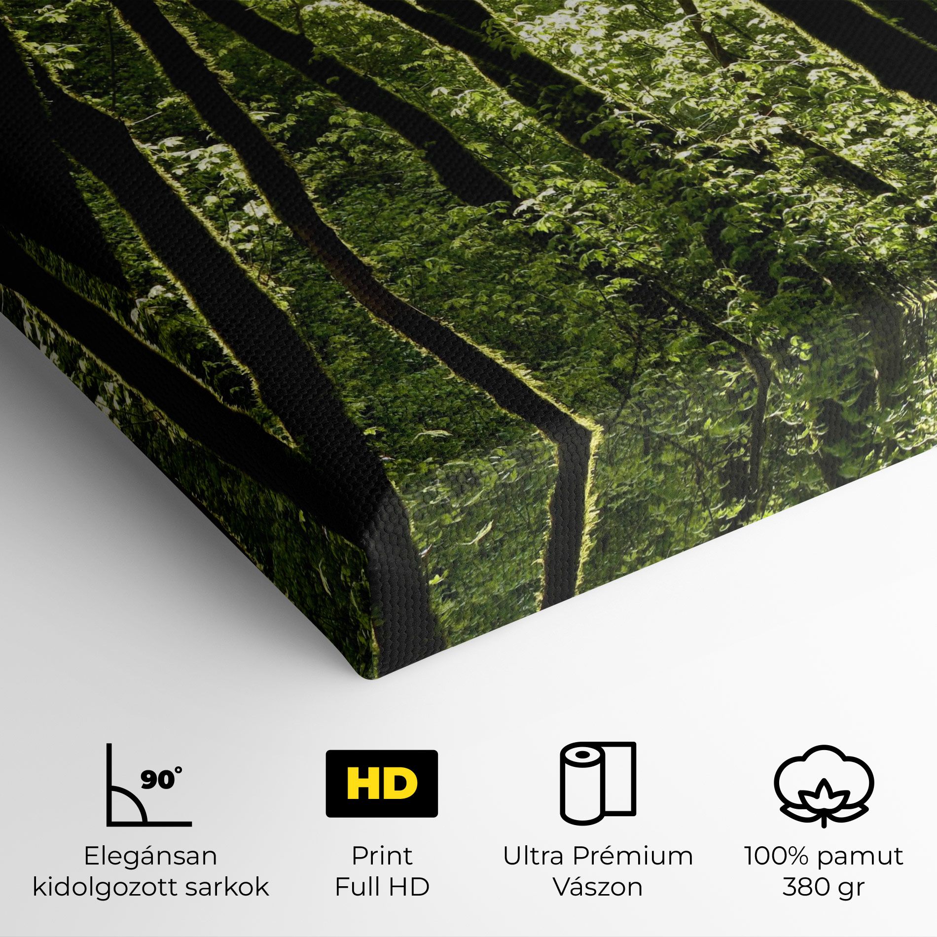 Forest Black Trees mockup 4