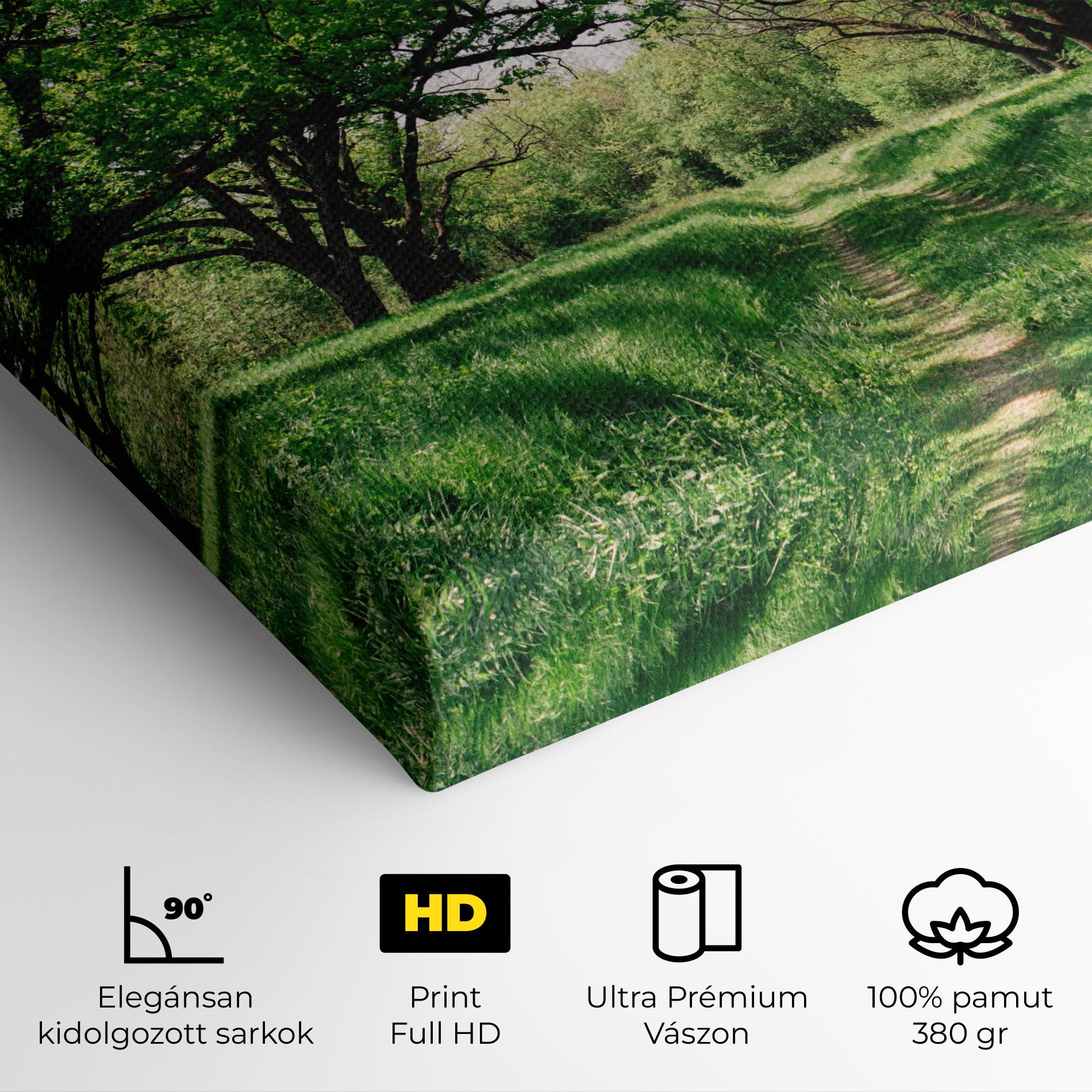 Vászonkép Forest Green Path mockup 4