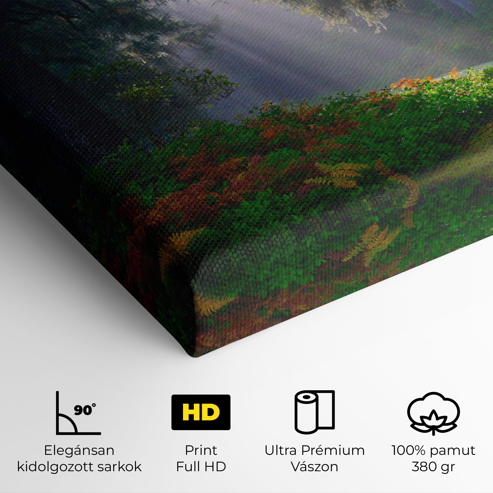 Forest Light mockup 4