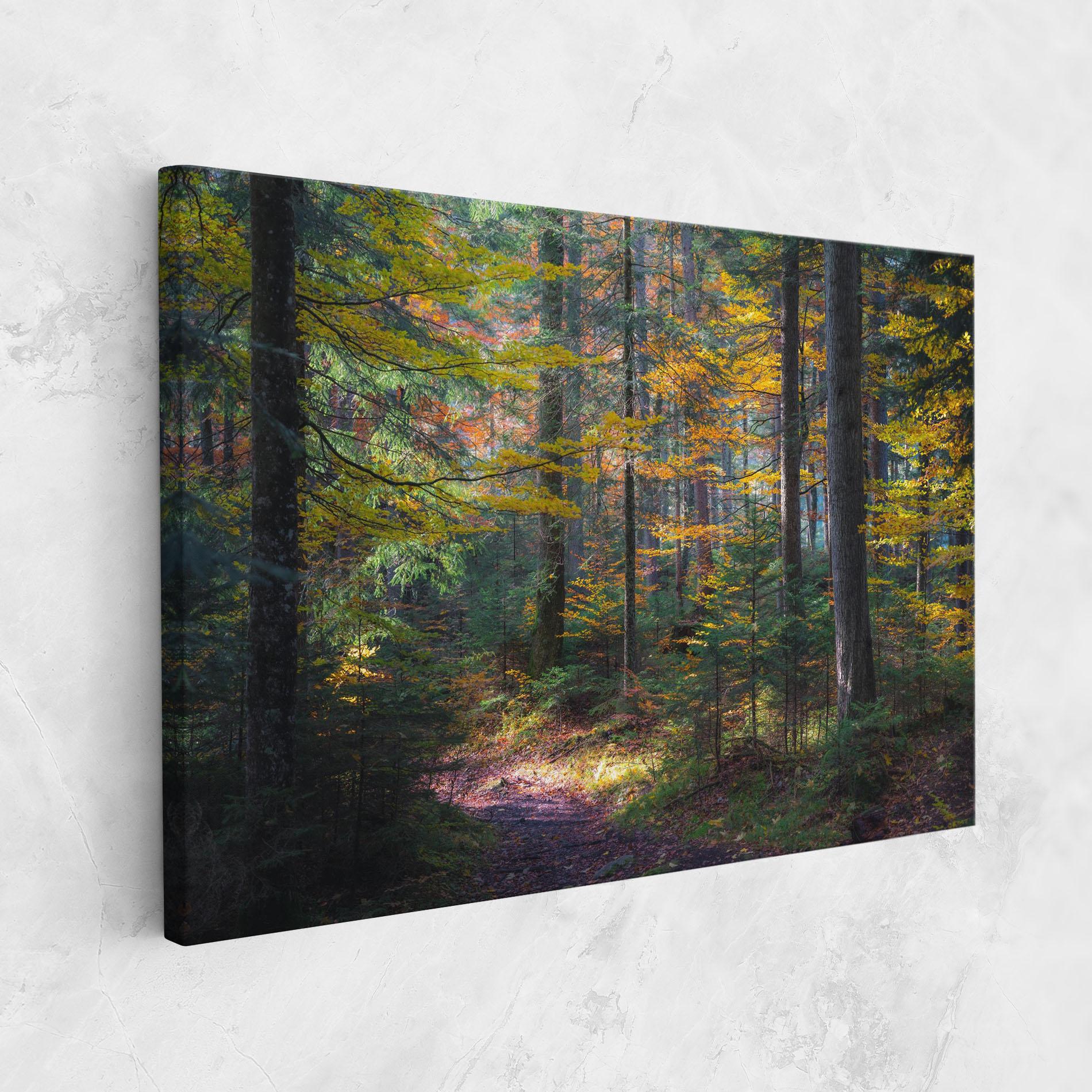 Vászonkép Dreamy Path Dorest mockup 1