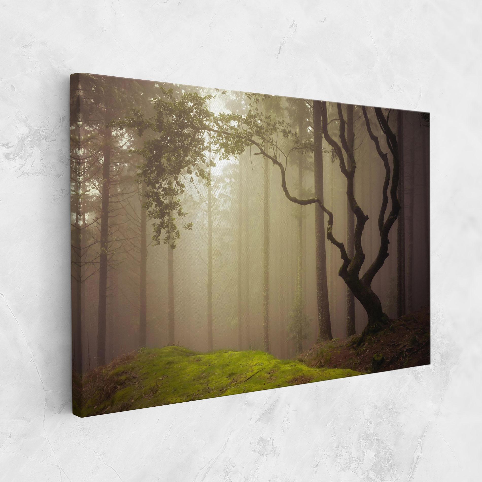 Vászonkép Foggy Tree Art mockup 1