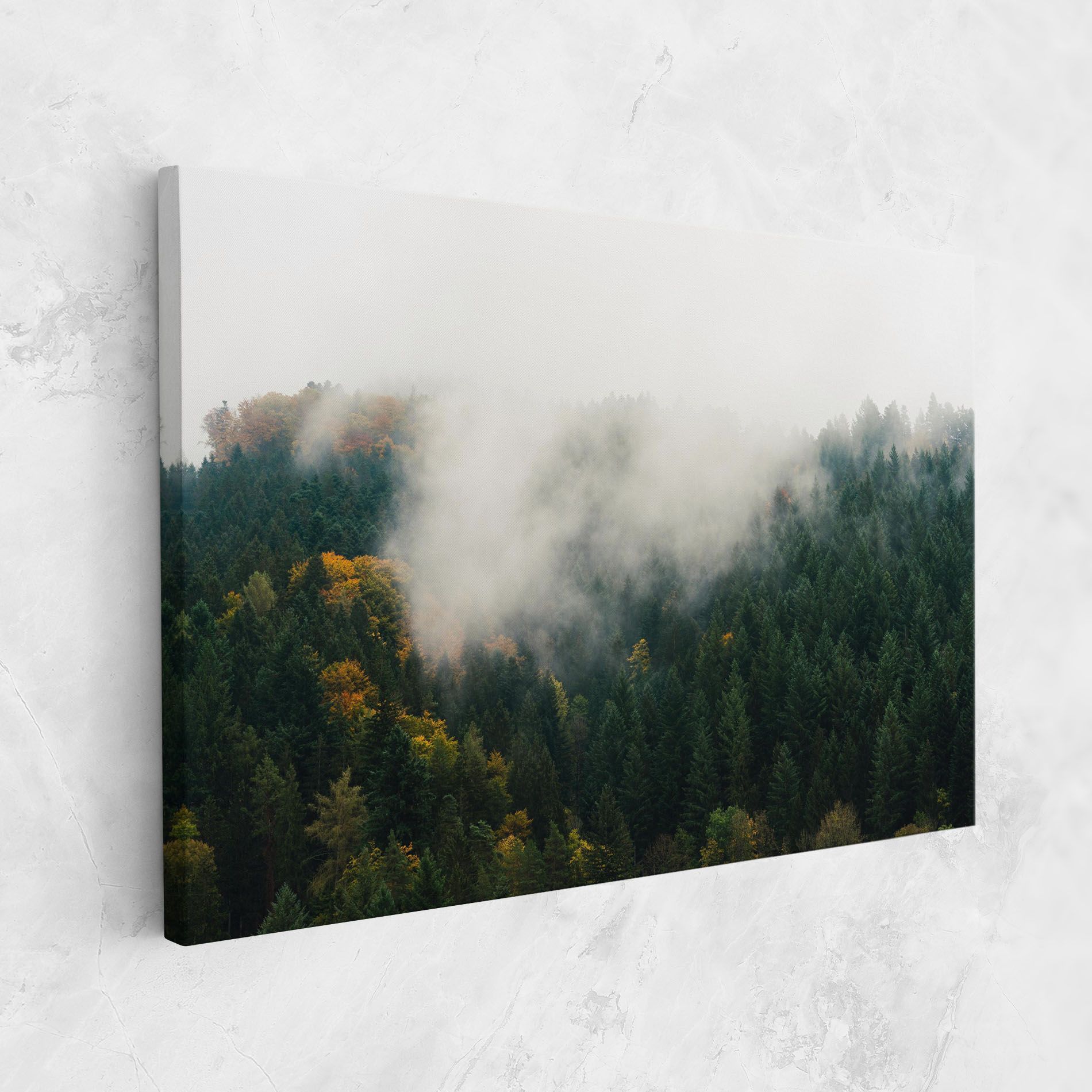 Foggy Tree Forest mockup 1