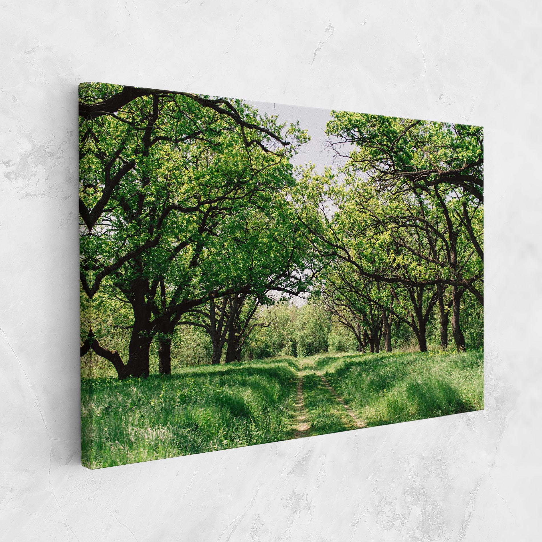 Vászonkép Forest Green Path mockup 1