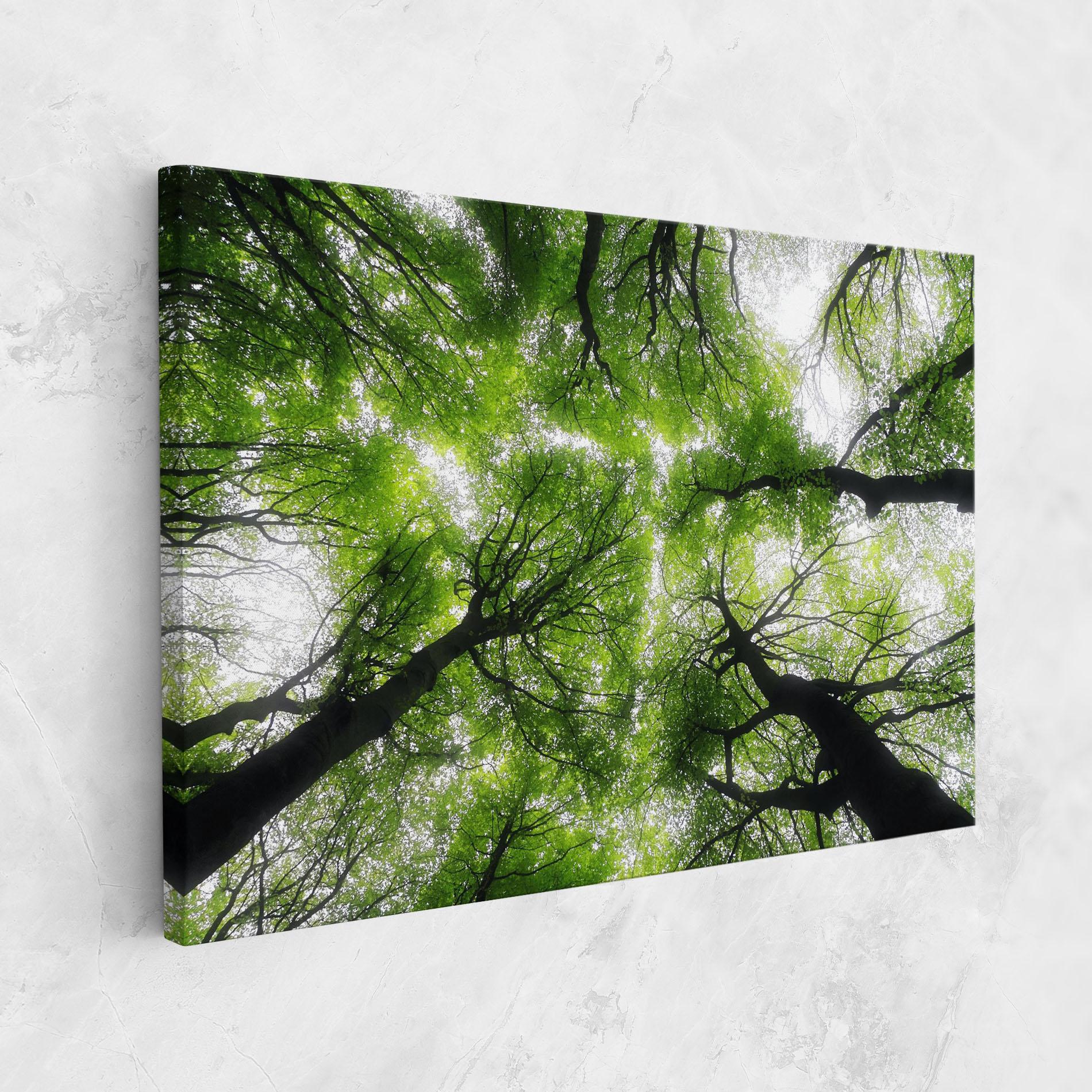 Vászonkép Forest Green Tree mockup 1