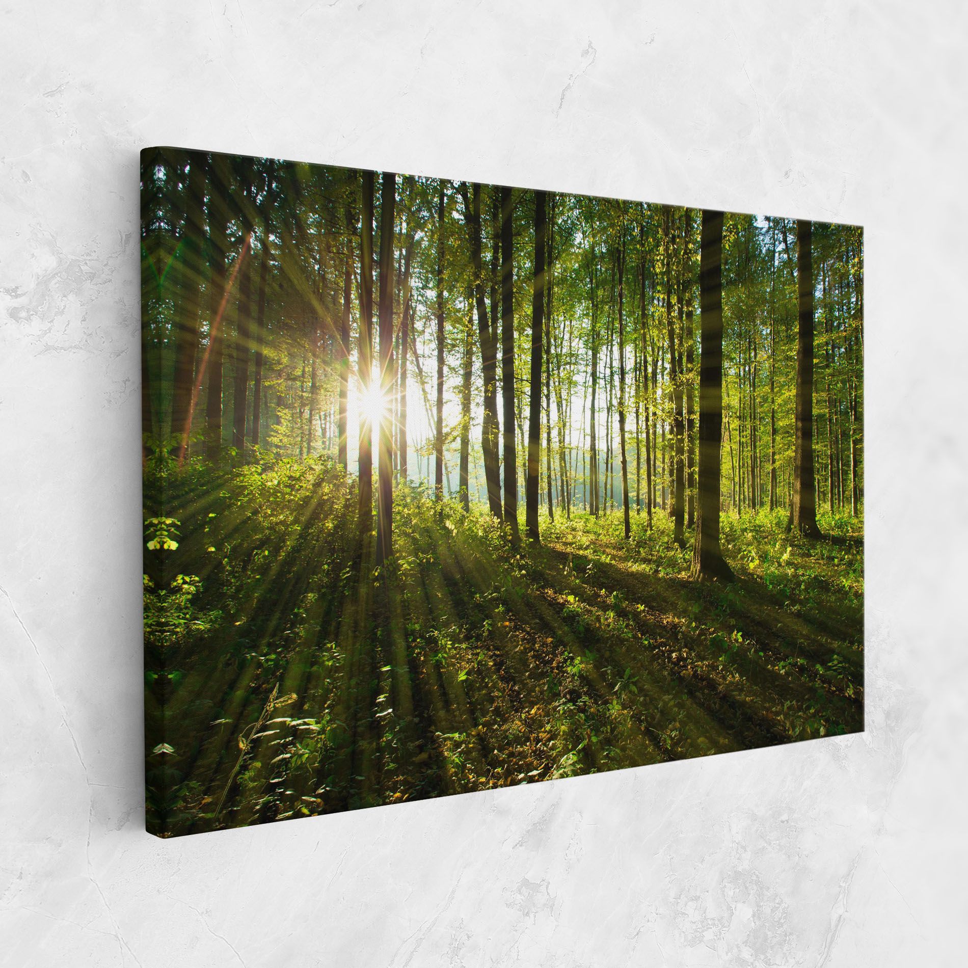 Green Light Forest mockup 1