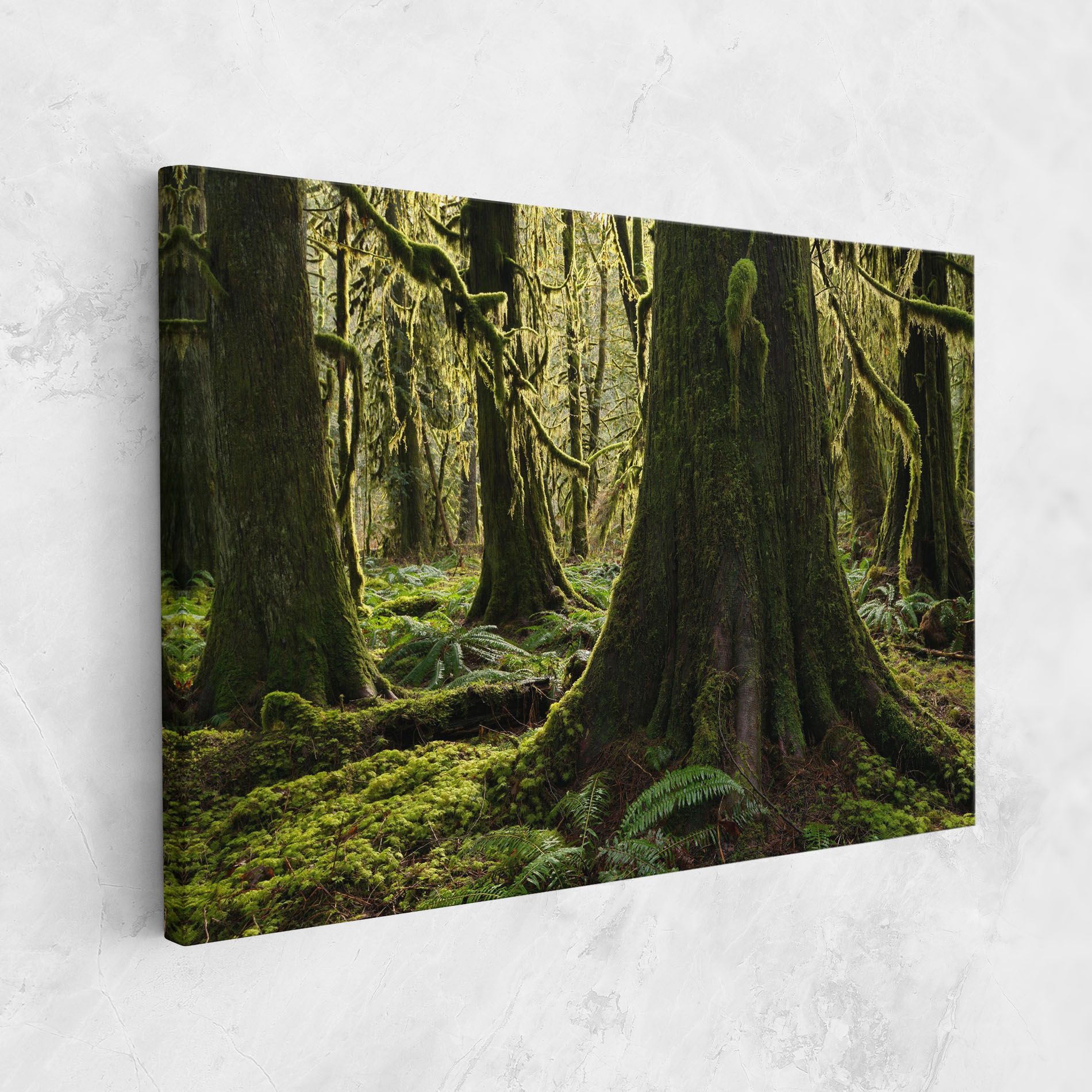 Green Moss Forest mockup 1