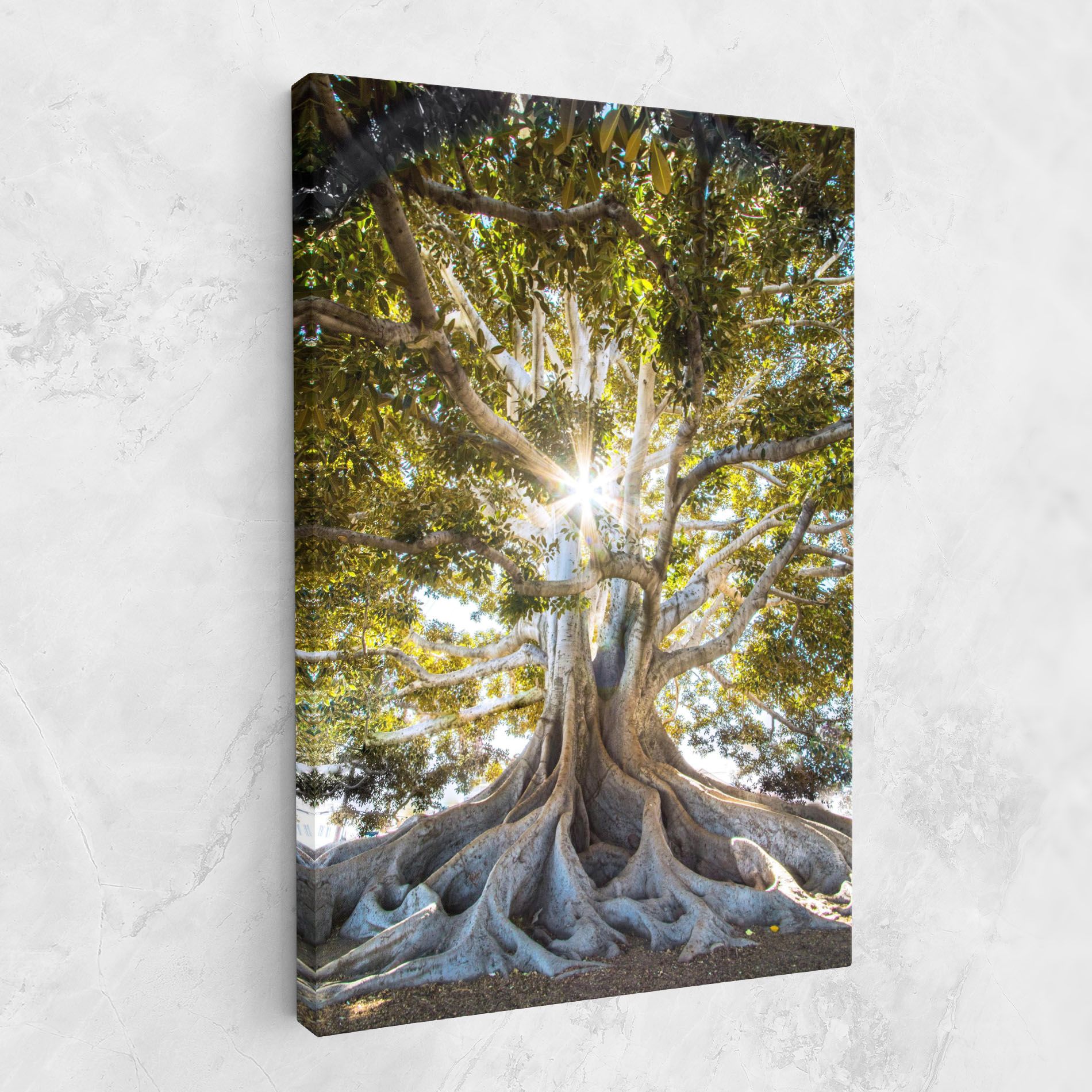 Big Old Tree mockup 1