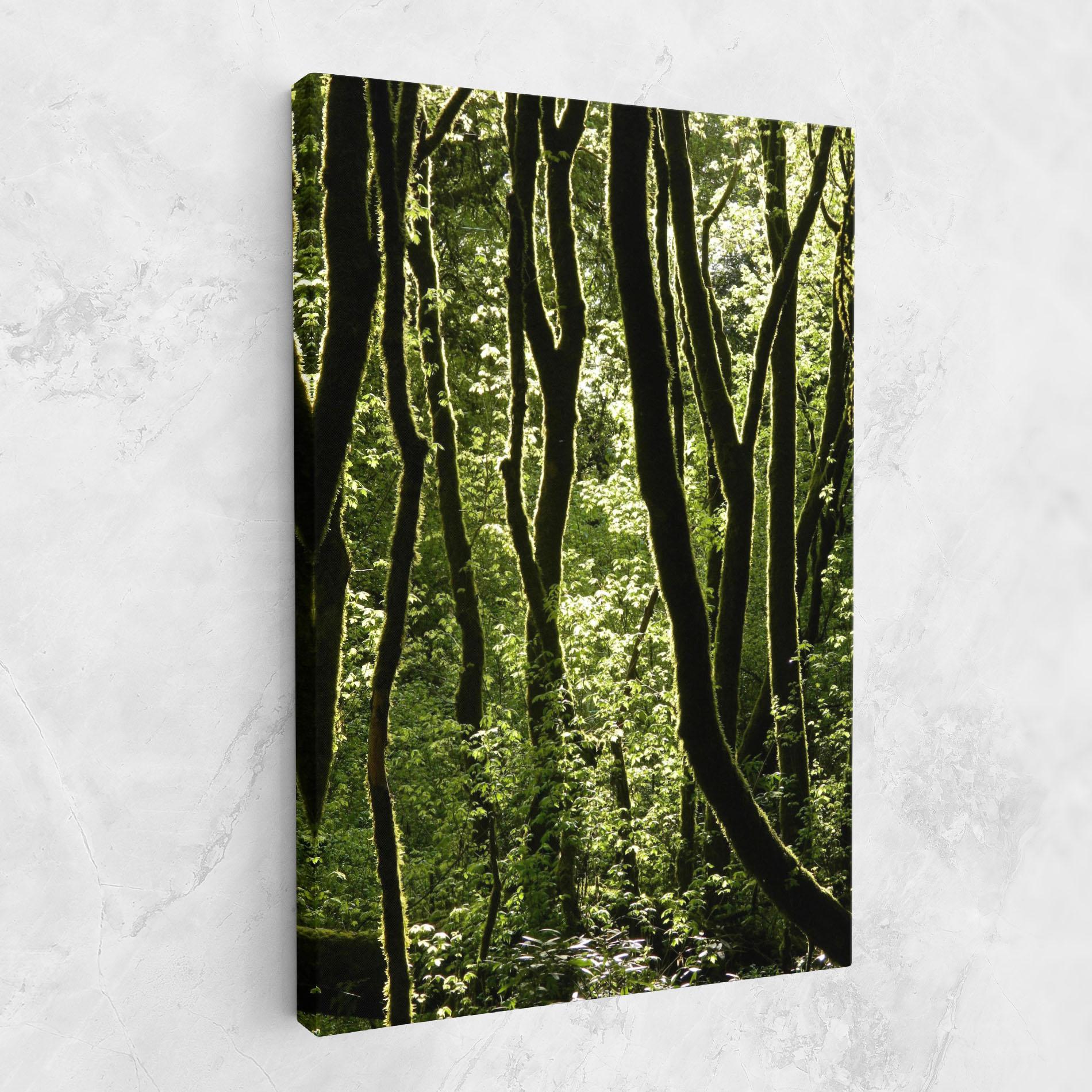 Vászonkép Forest Black Trees mockup 1