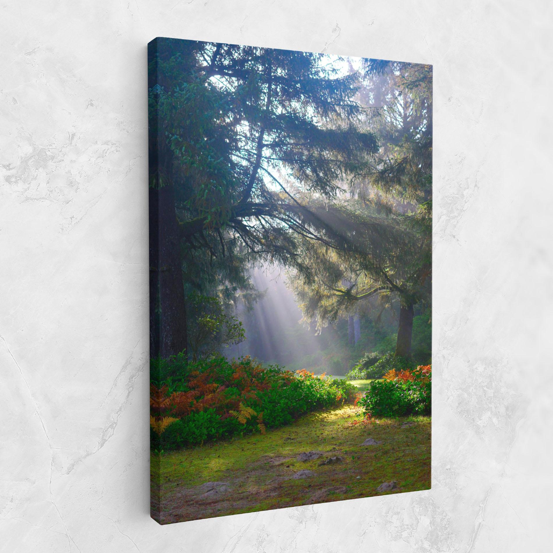 Vászonkép Forest Light mockup 1