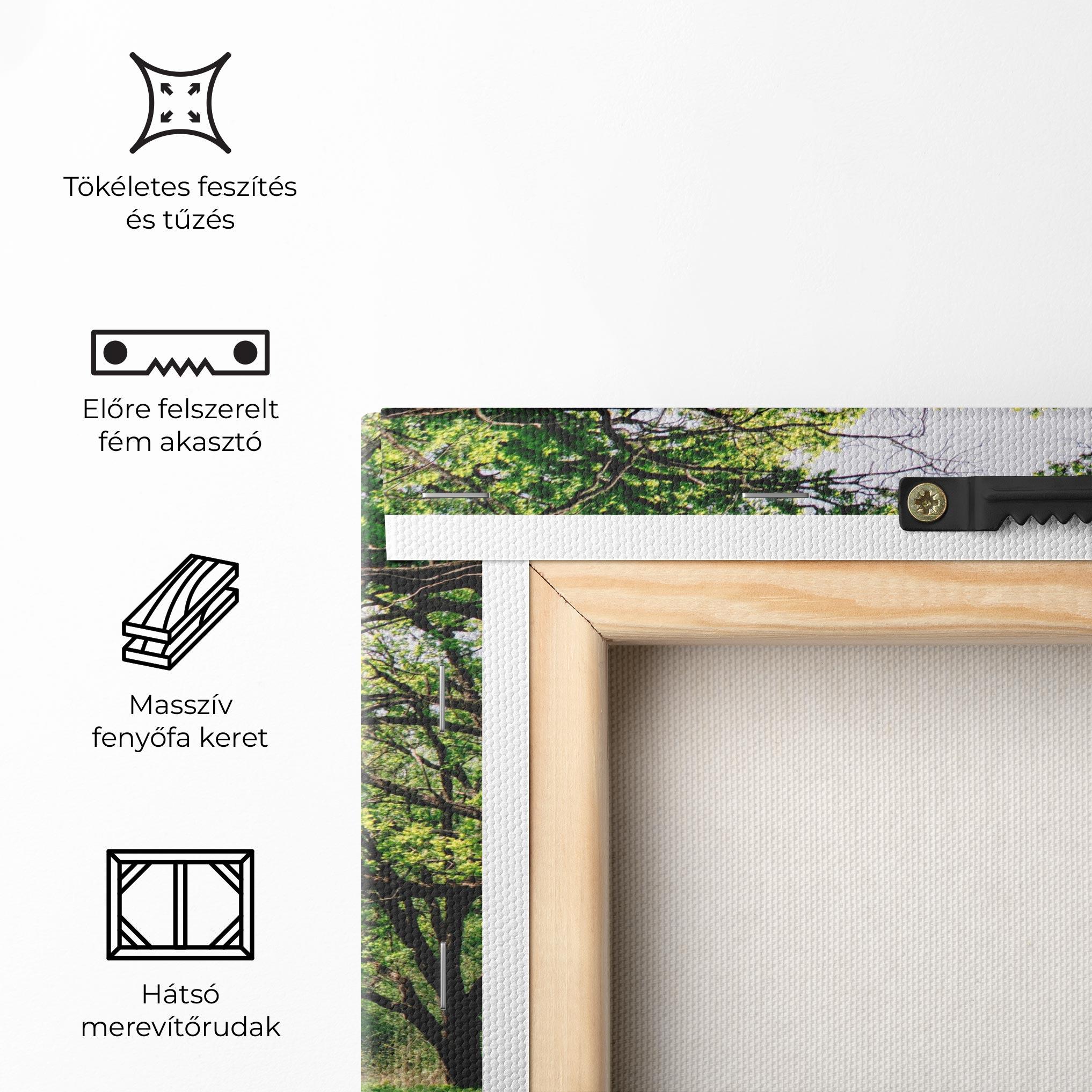 Vászonkép Forest Green Path mockup 5